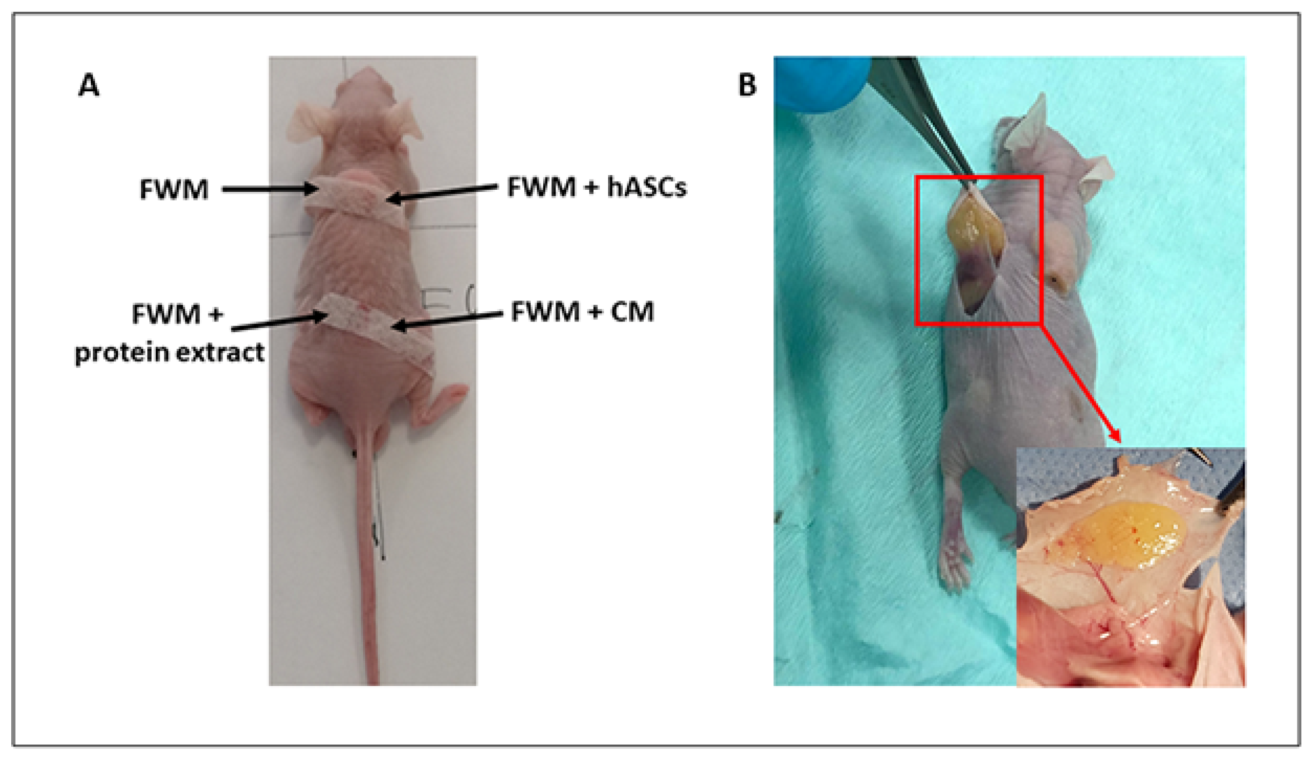 Nanomaterials 12 01521 g001