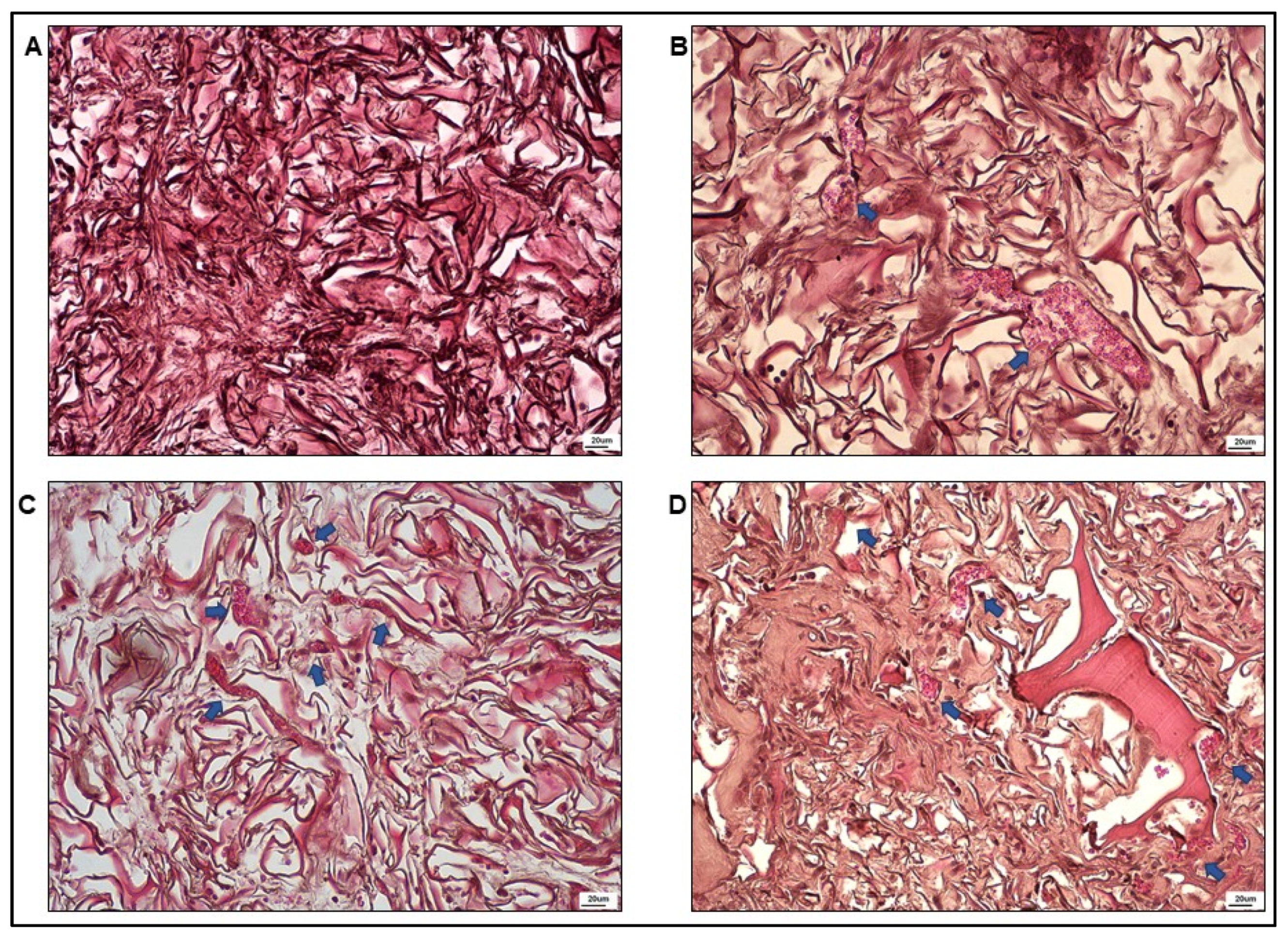 Nanomaterials 12 01521 g004