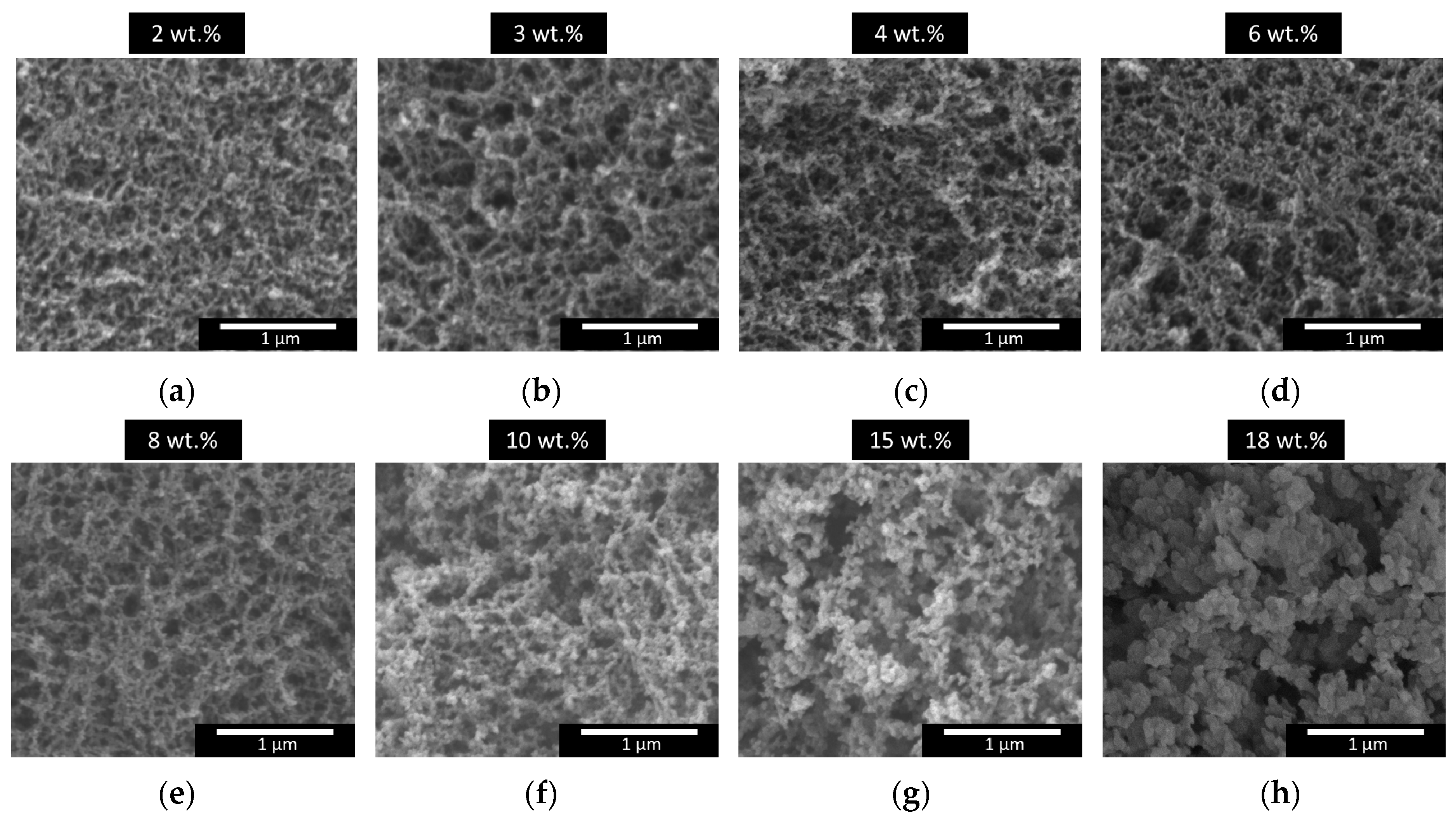 Nanomaterials 12 01522 g001
