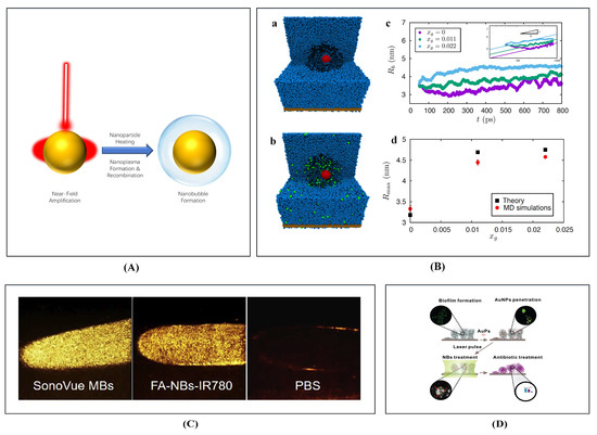 Molecular Dynamics Study of Laser Interaction with