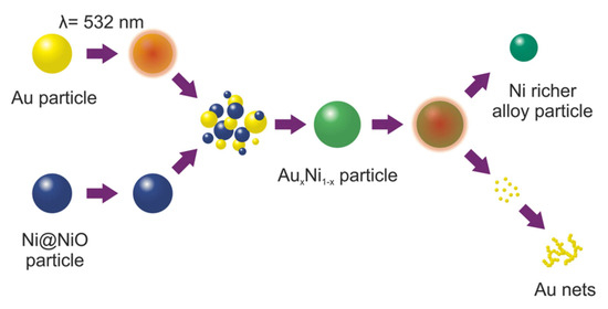 テスト Molecular Dynamics Study of Laser Interaction with