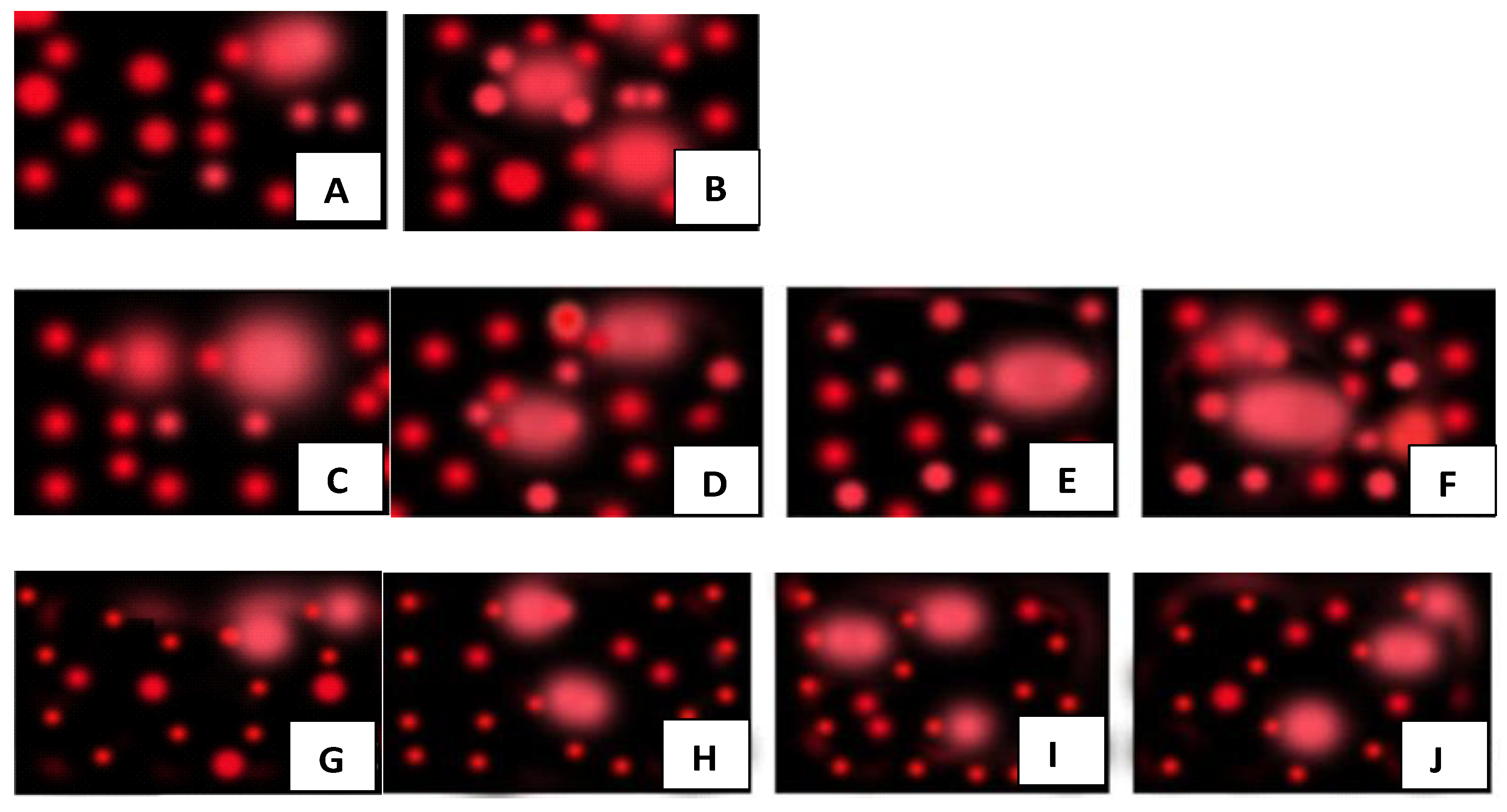 Nanomaterials 12 01527 g010 550