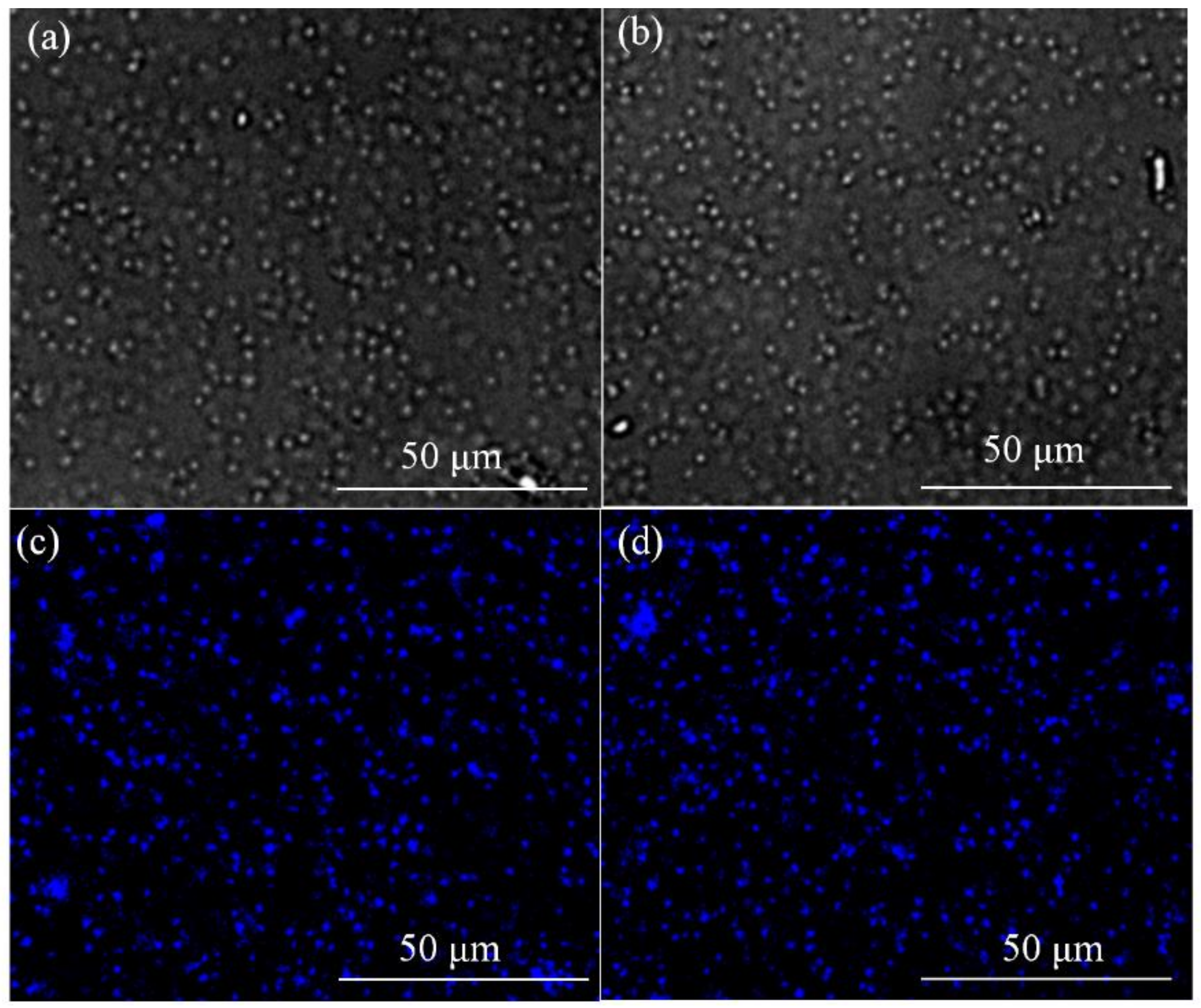 Nanomaterials 12 01528 g008 550