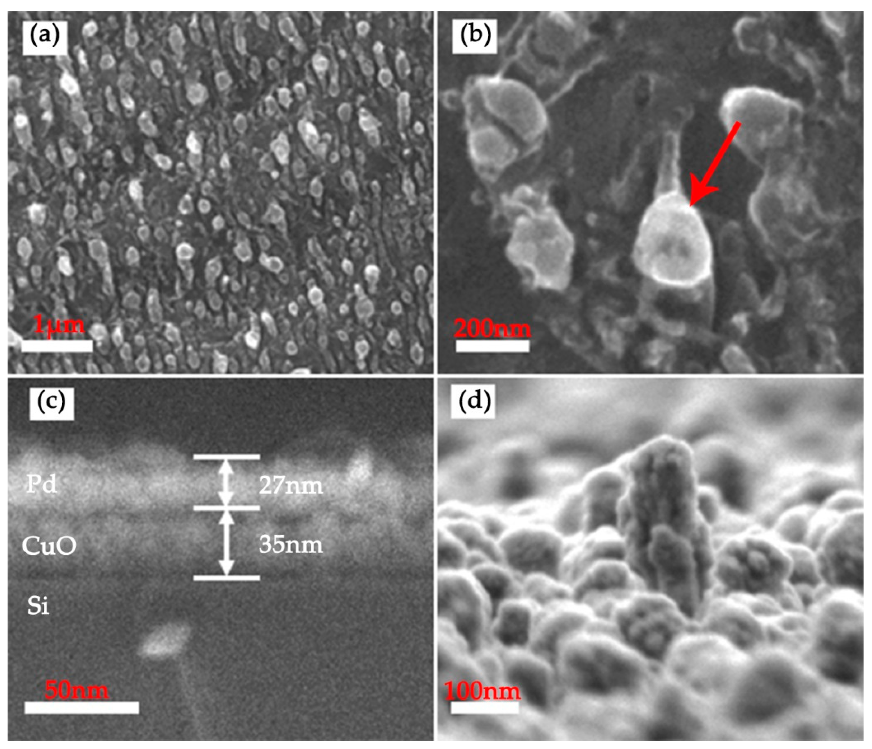 Nanomaterials 12 01533 g002 550