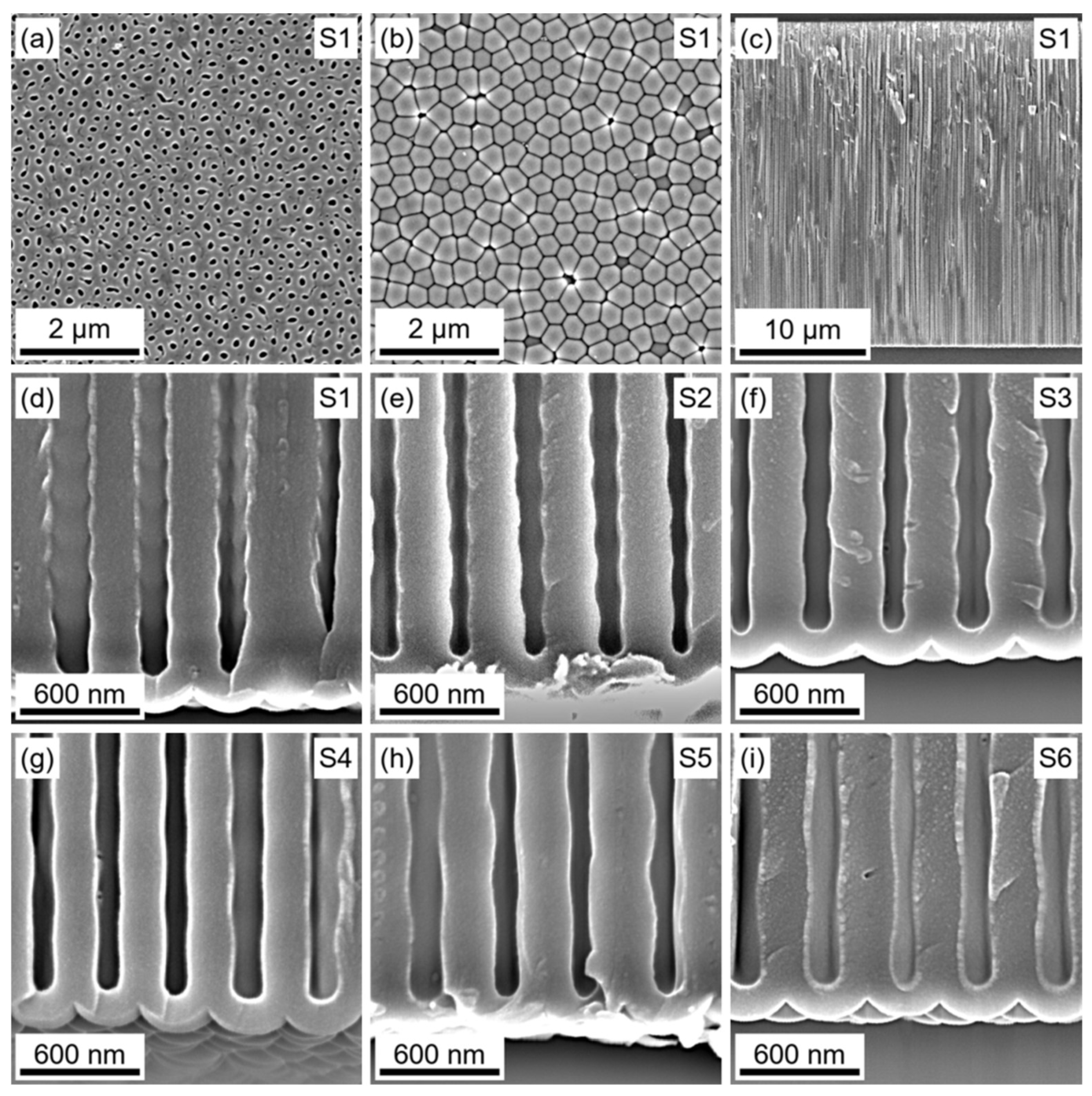 Nanomaterials 12 01548 g003