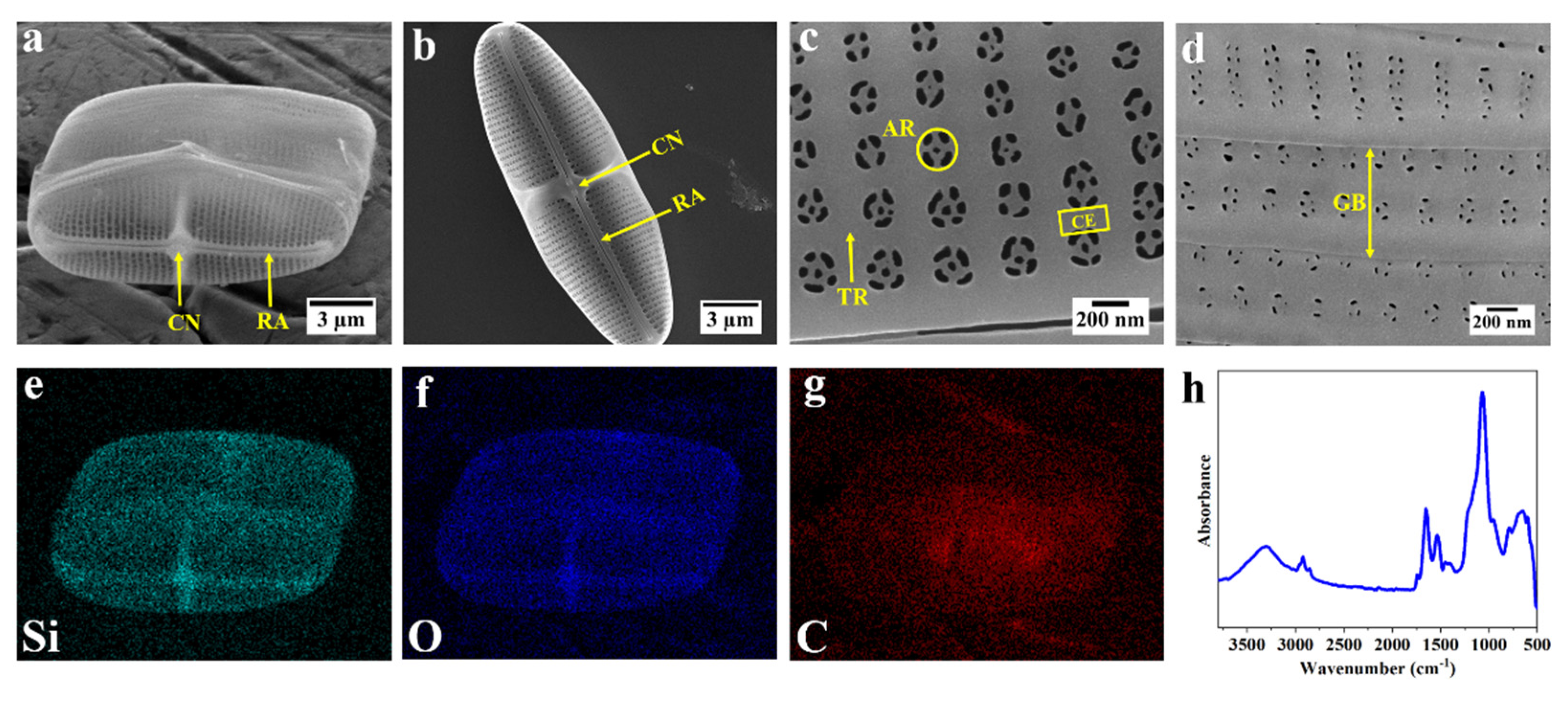 Nanomaterials 12 01549 g001 Nanomaterials 12 01549 g001