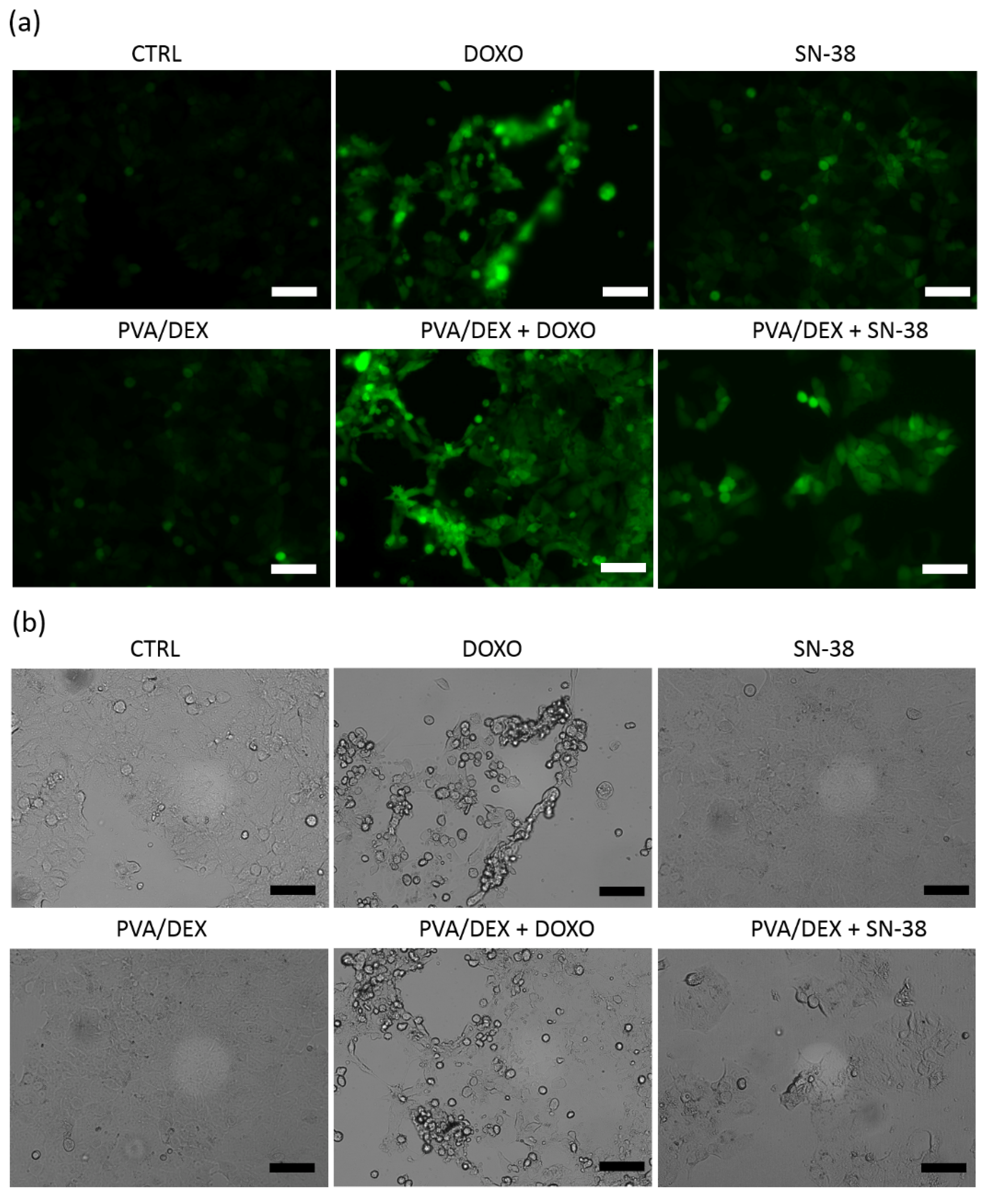 Nanomaterials 12 01550 g006