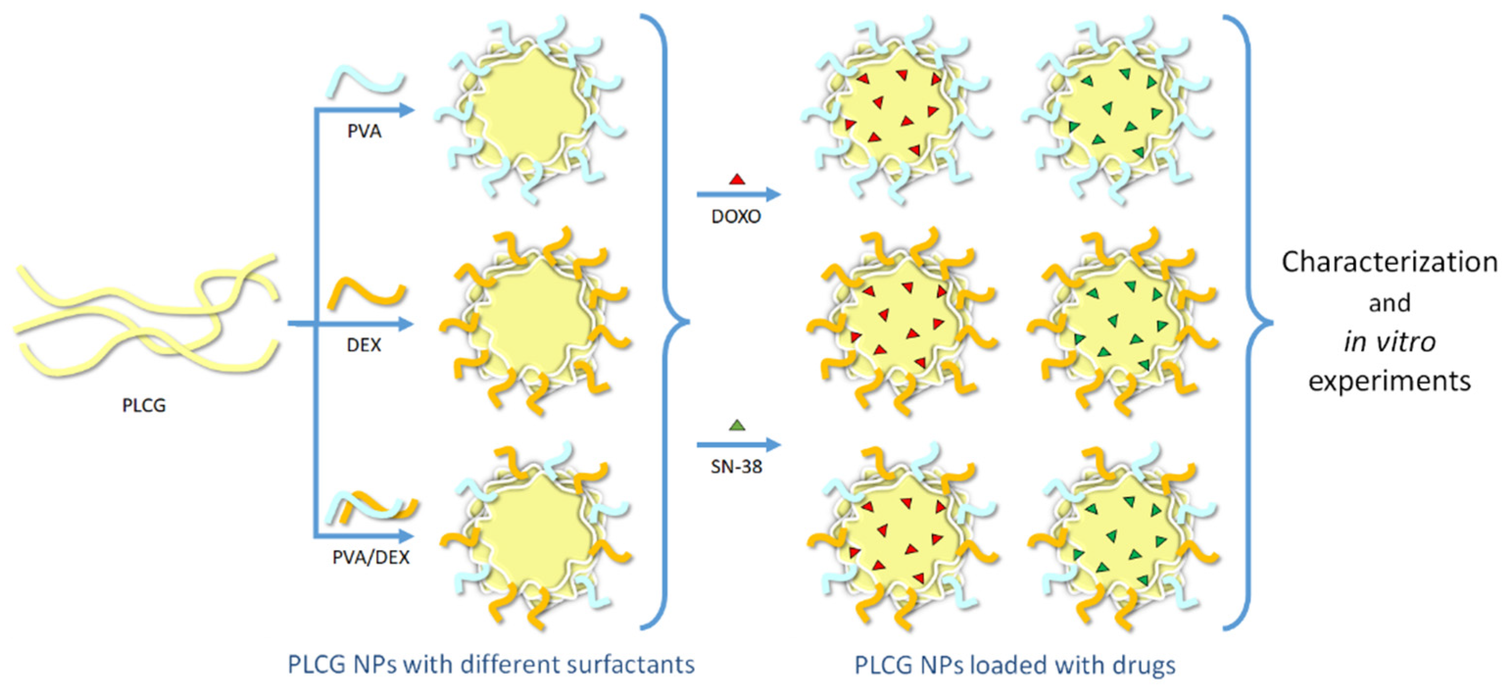Nanomaterials 12 01550 sch001