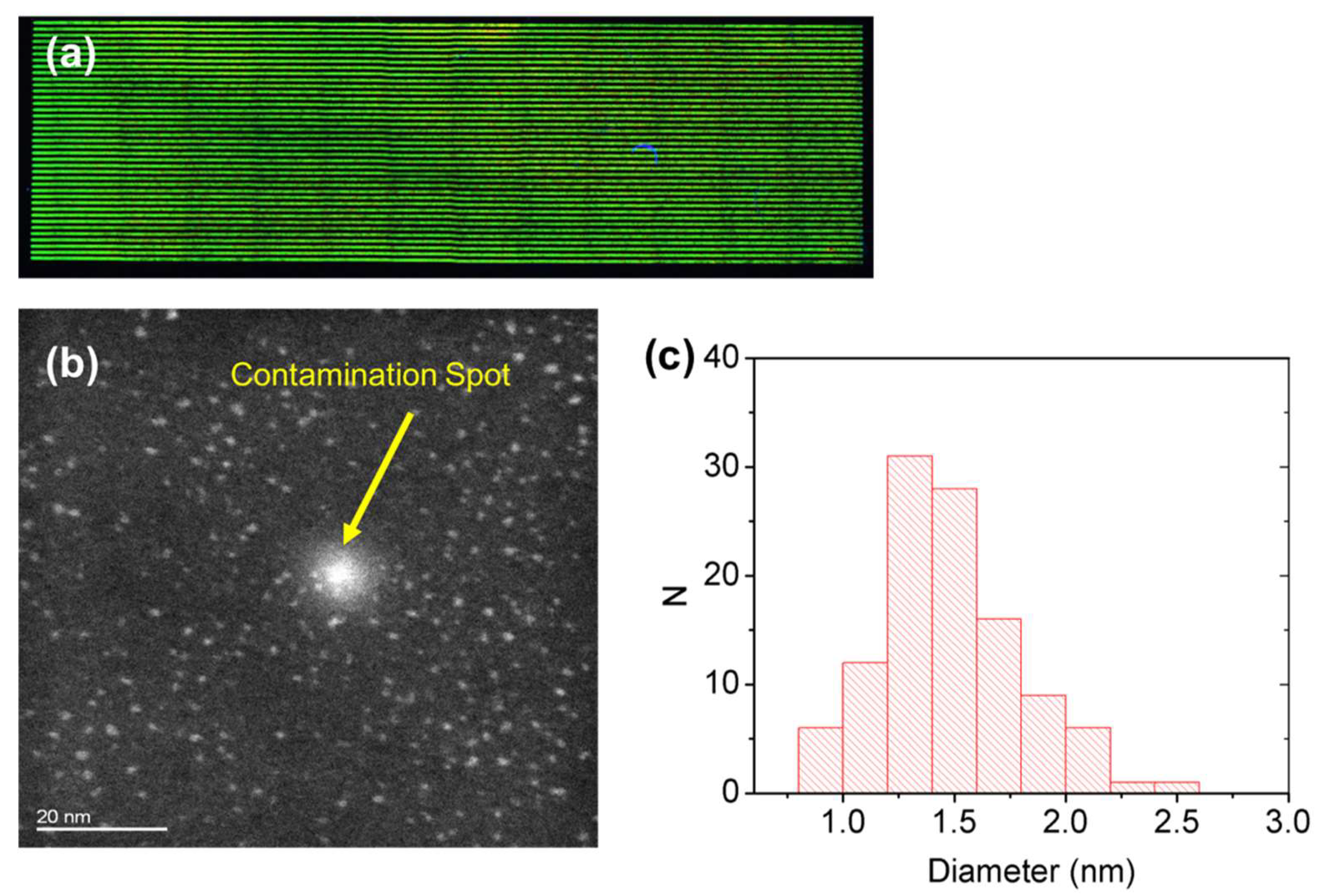 Nanomaterials 12 01551 g009 550