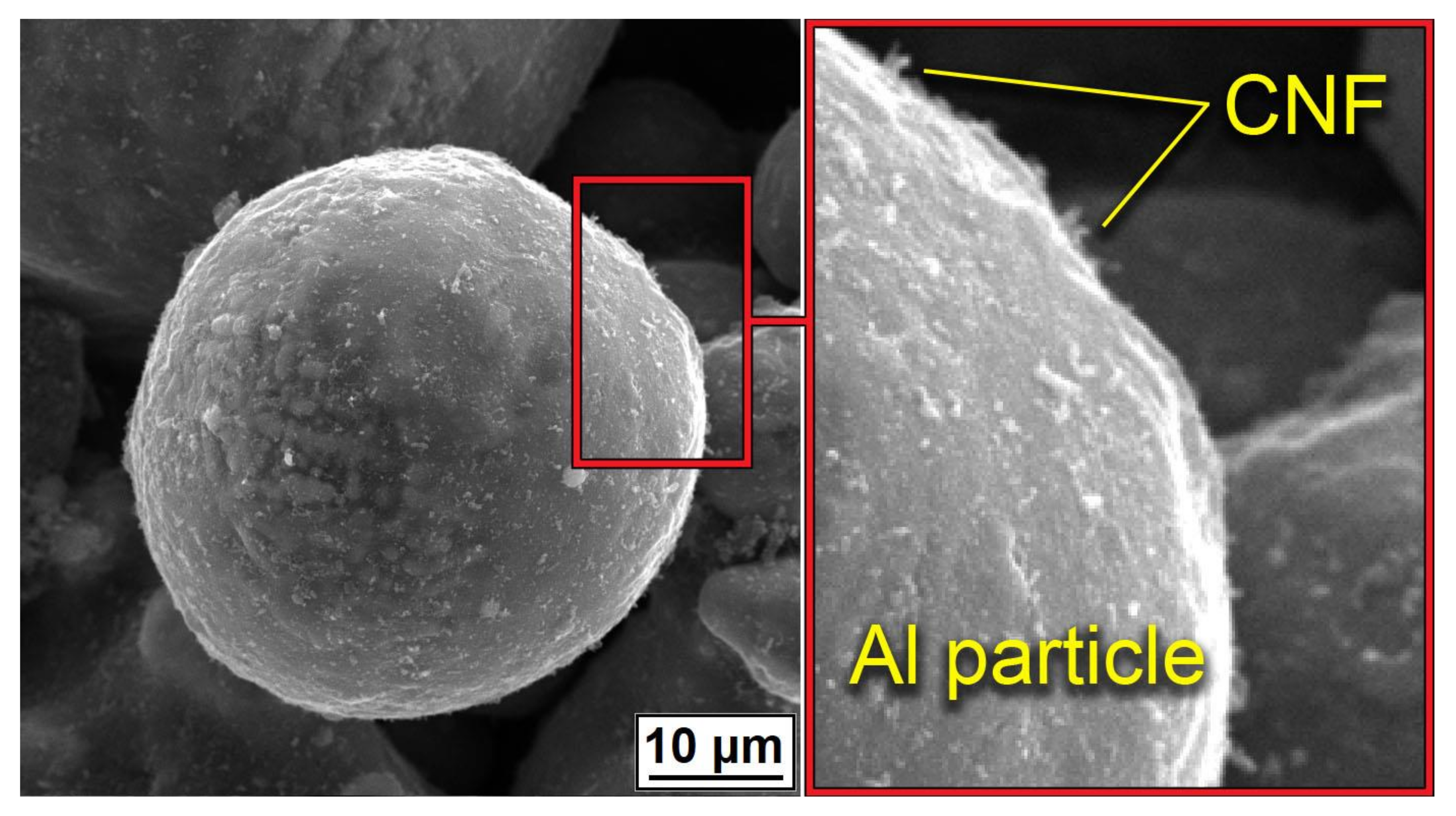 Nanomaterials 12 01559 g003