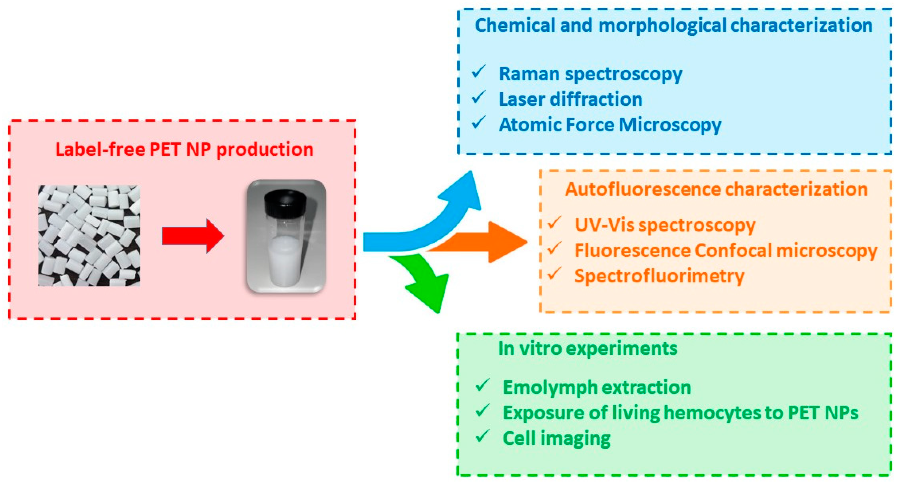 Nanomaterials 12 01560 sch001 550