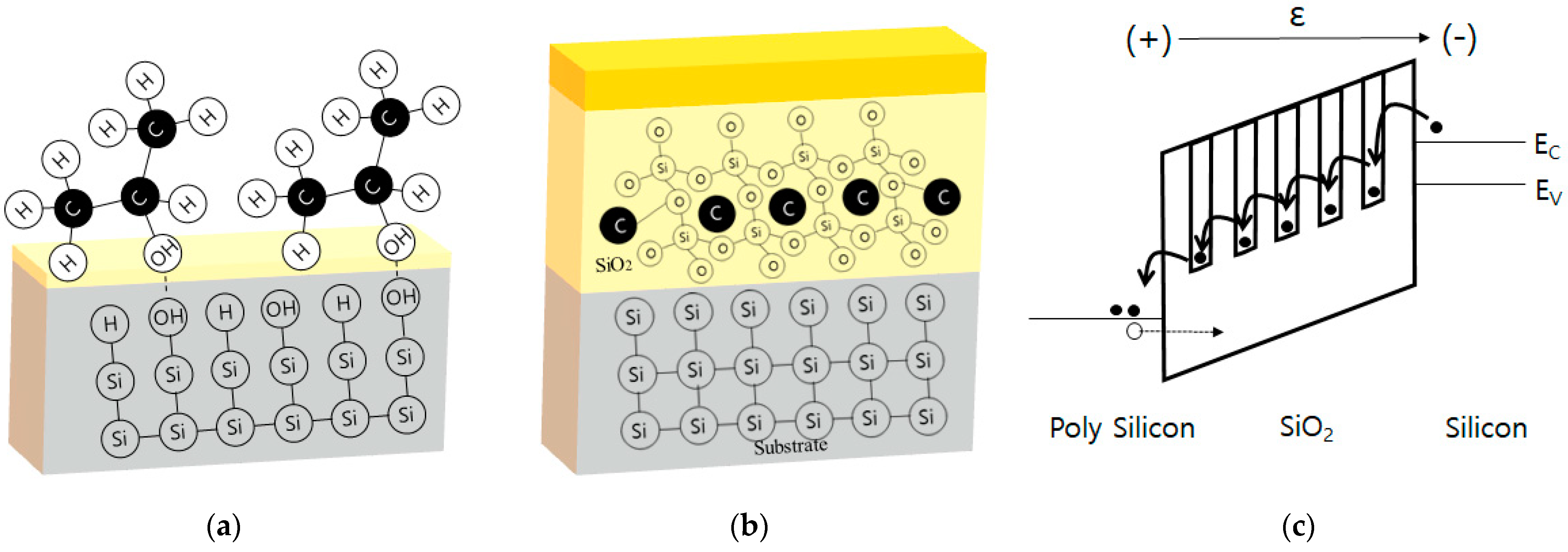Nanomaterials 12 01563 g007 550