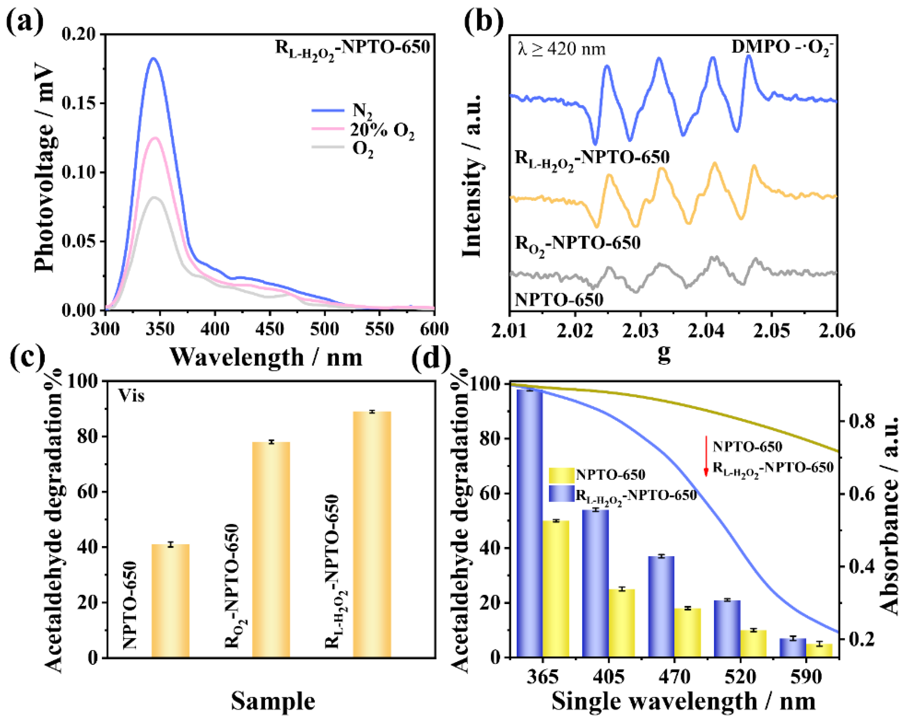 Nanomaterials 12 01564 g004 550