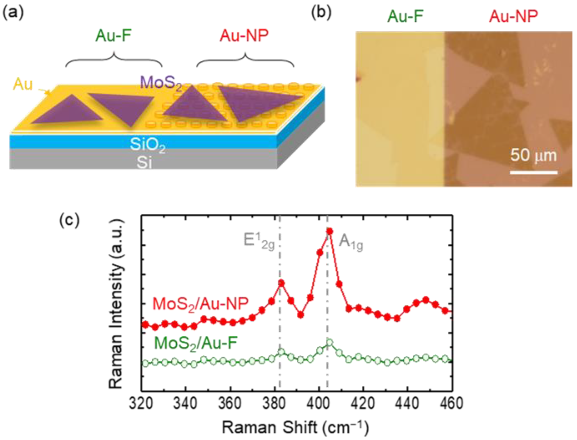 Nanomaterials 12 01567 g002 550