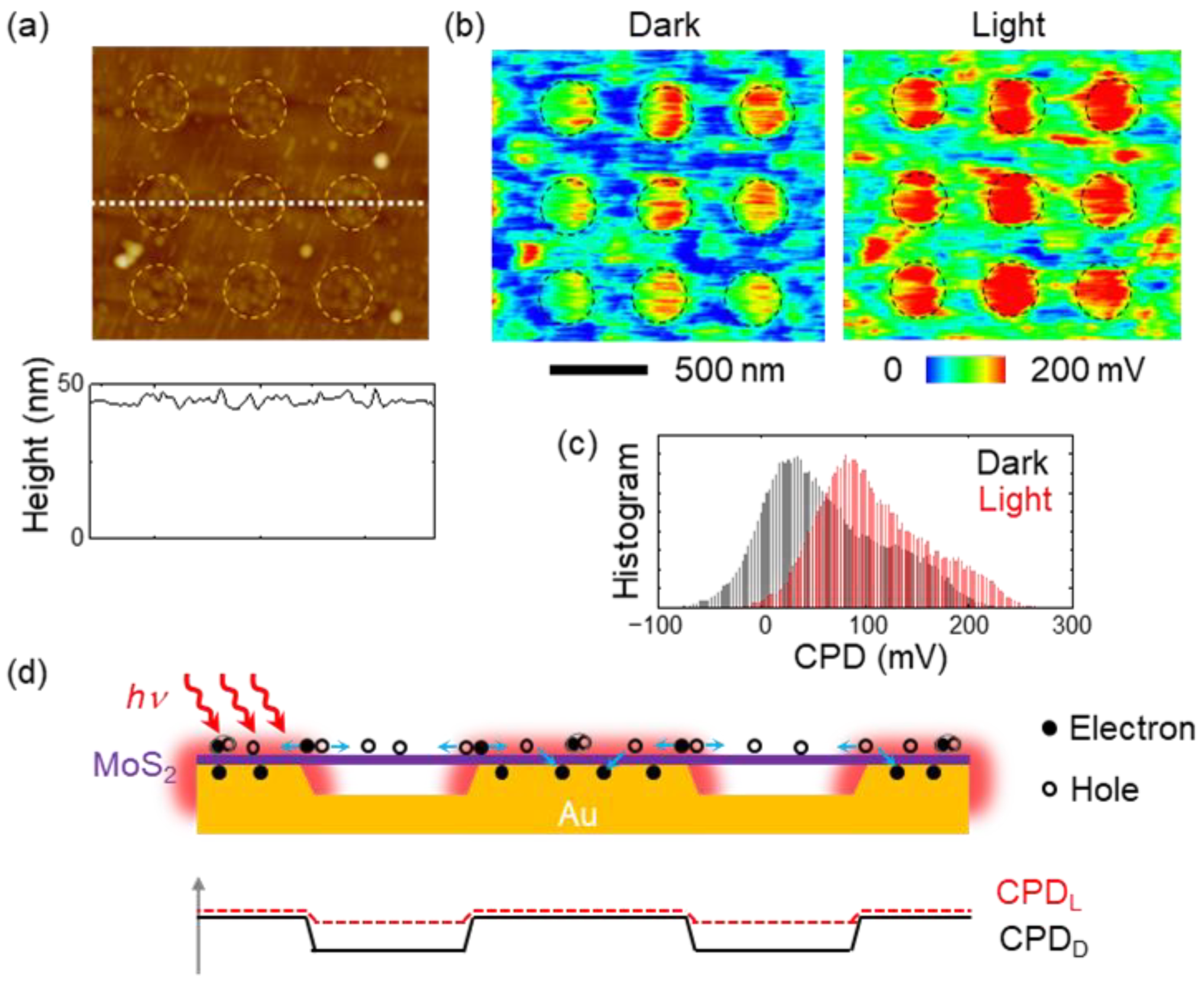 Nanomaterials 12 01567 g006 550