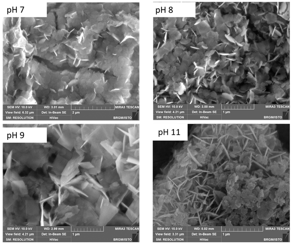 Nanomaterials 12 01570 g005 550