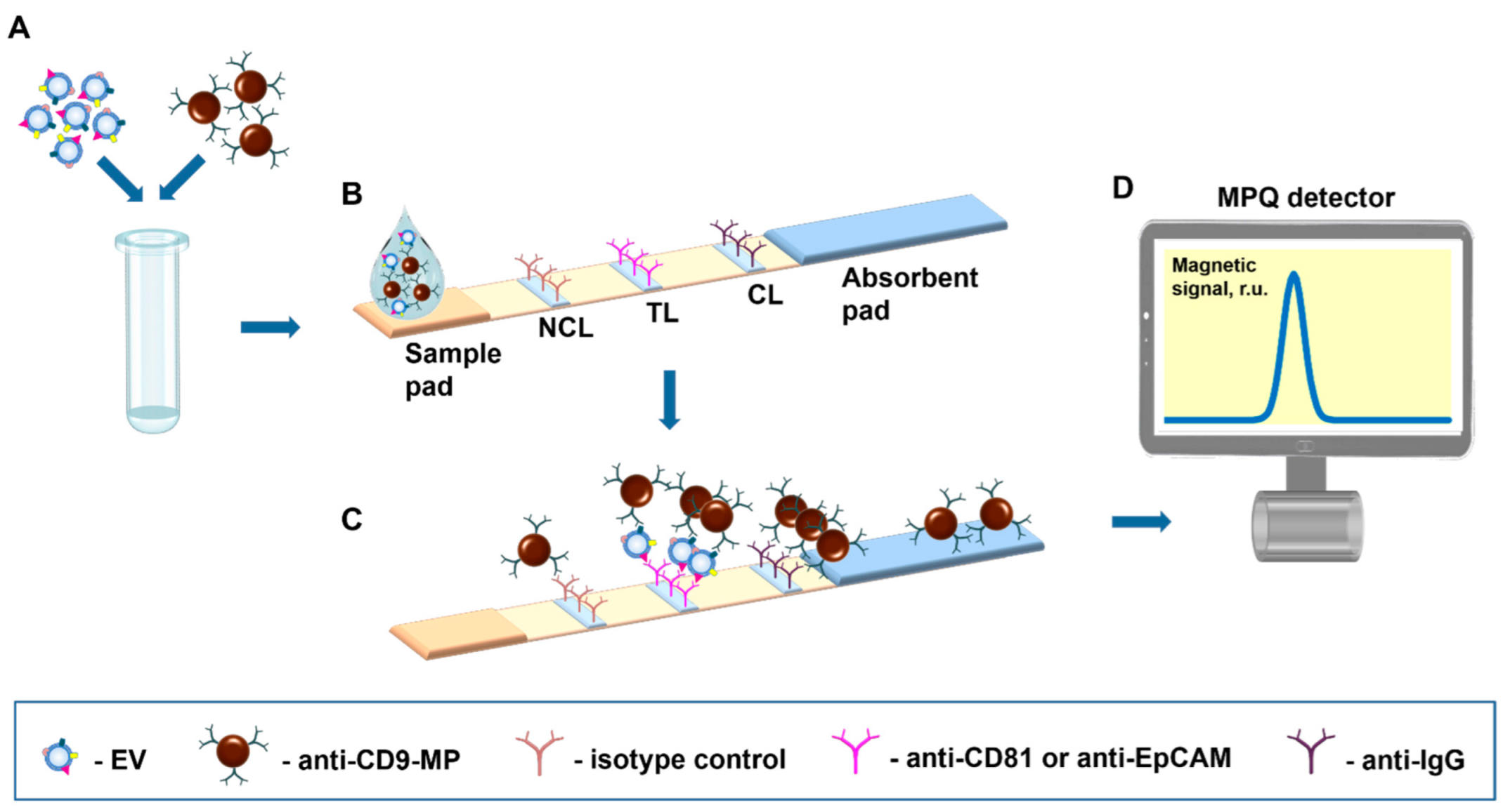 Nanomaterials 12 01579 g001