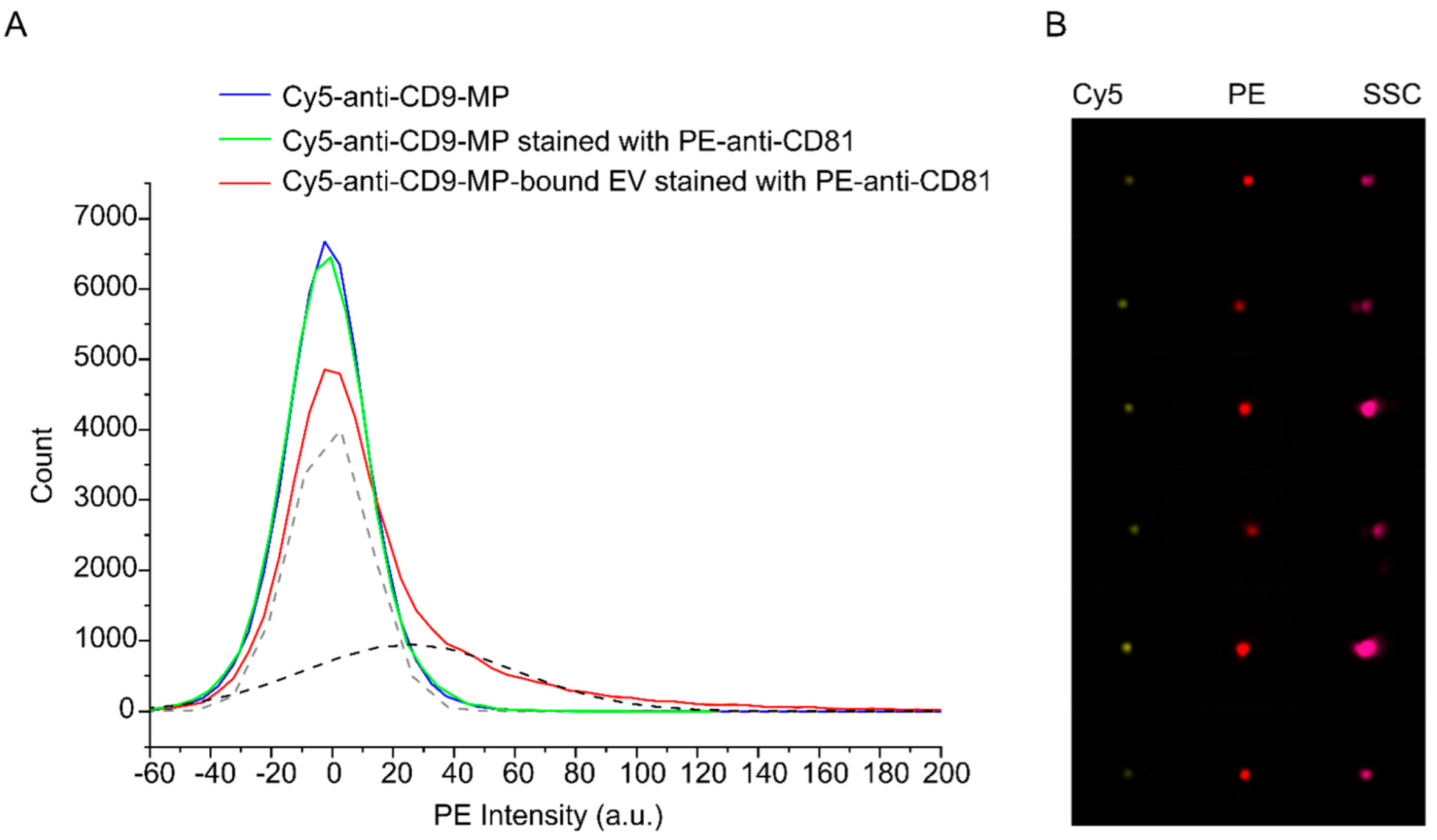 Nanomaterials 12 01579 g003