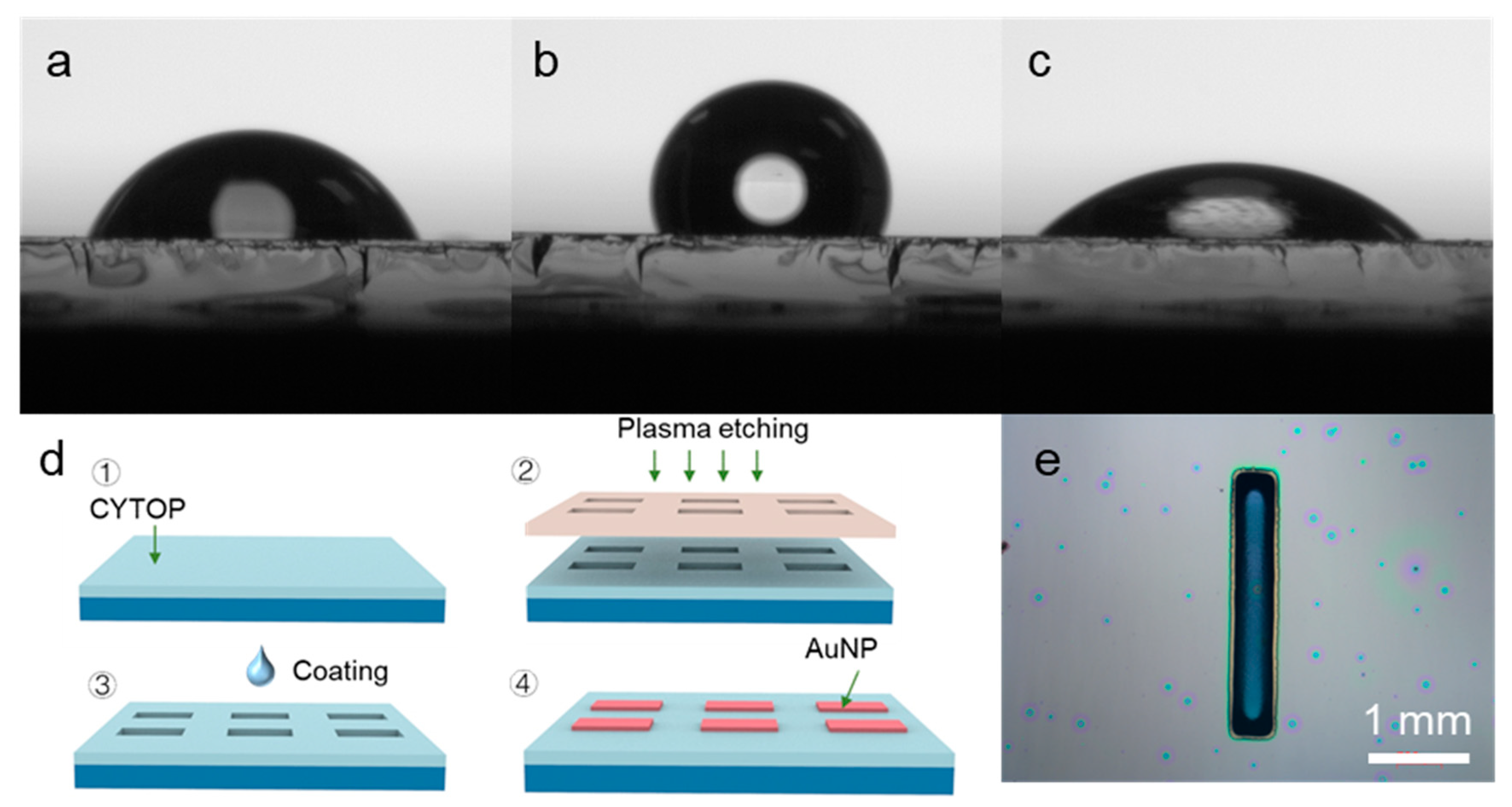 Nanomaterials 12 01580 g002