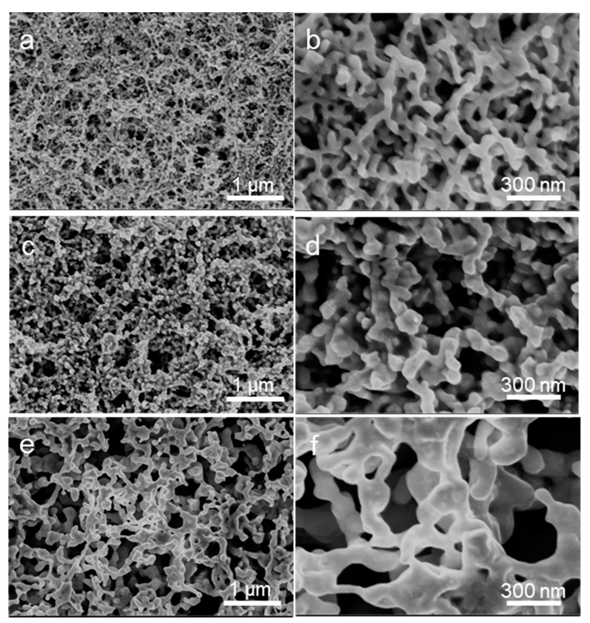 Nanomaterials 12 01580 g003