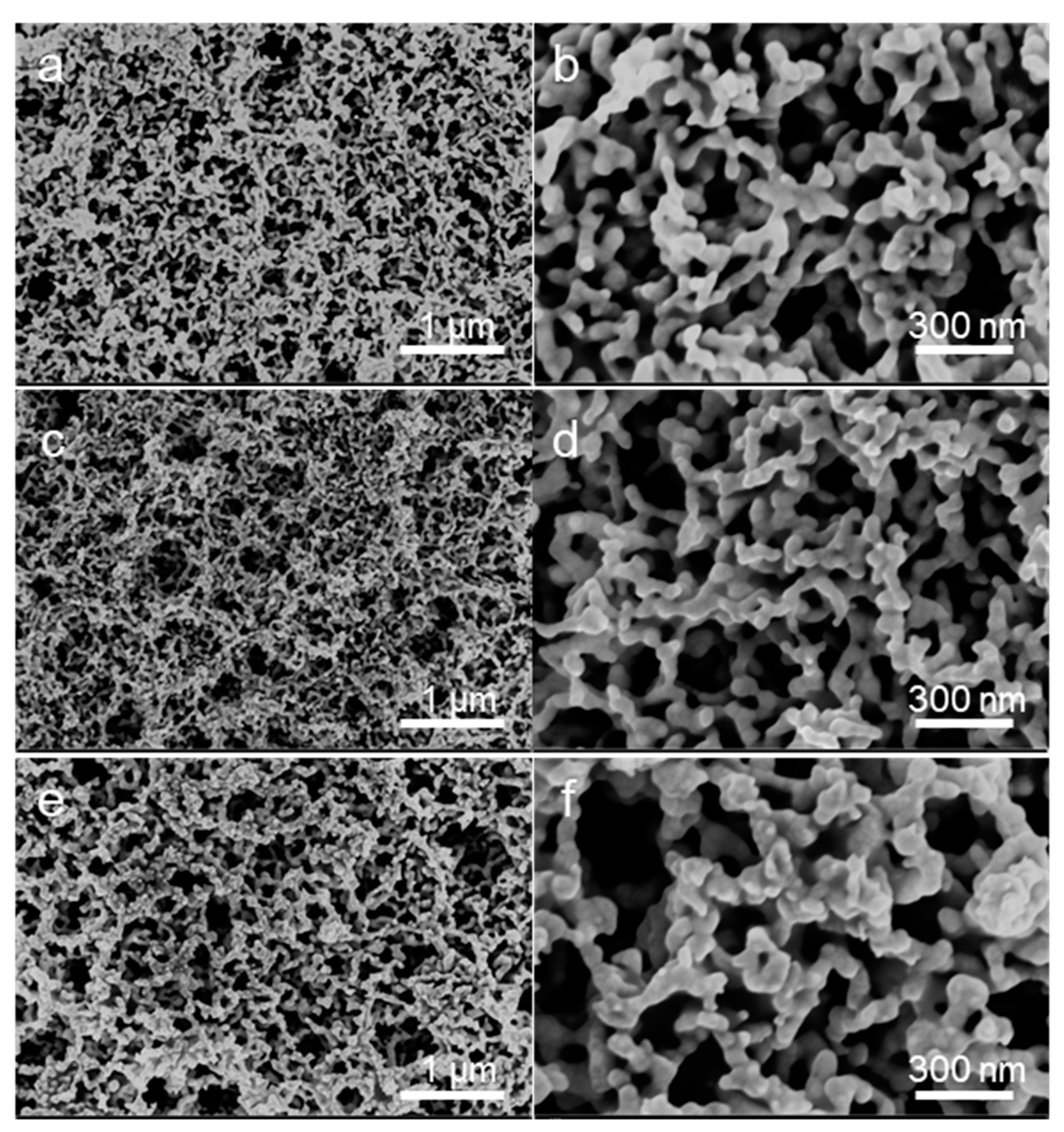 Nanomaterials 12 01580 g004