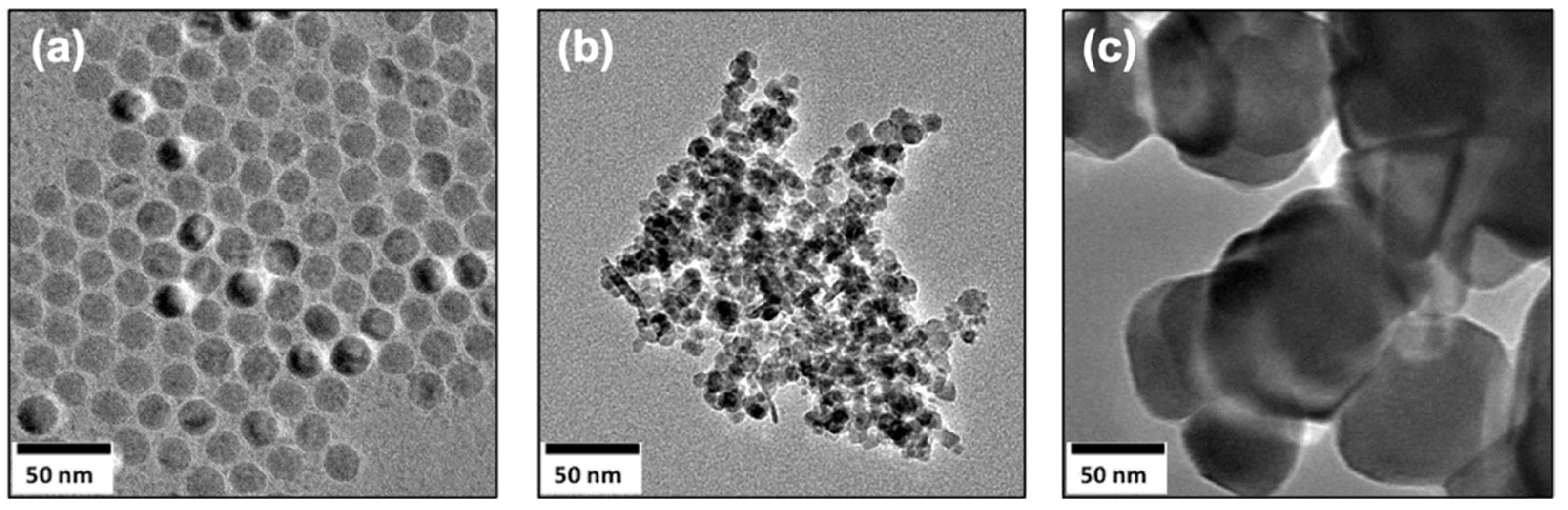 Nanomaterials 12 01598 g001 550