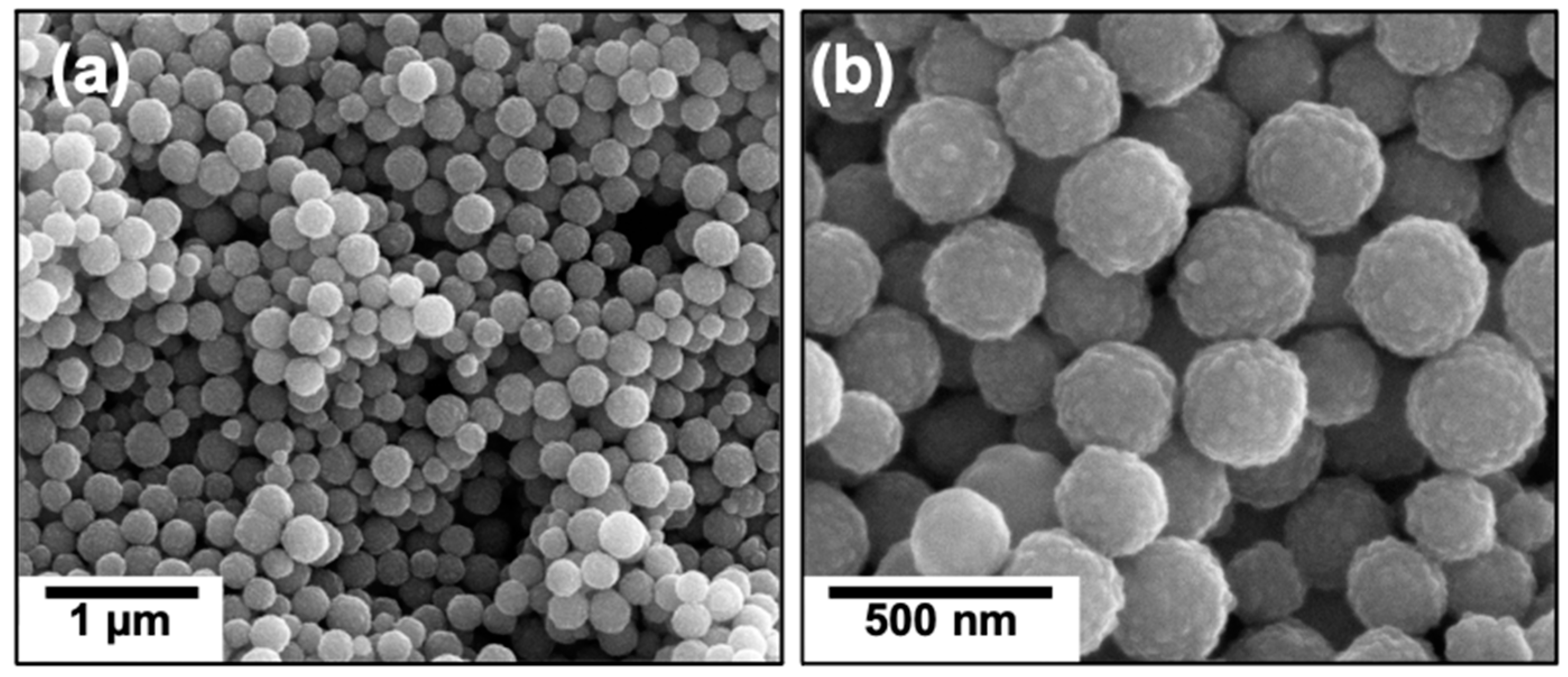 Nanomaterials 12 01598 g004 550