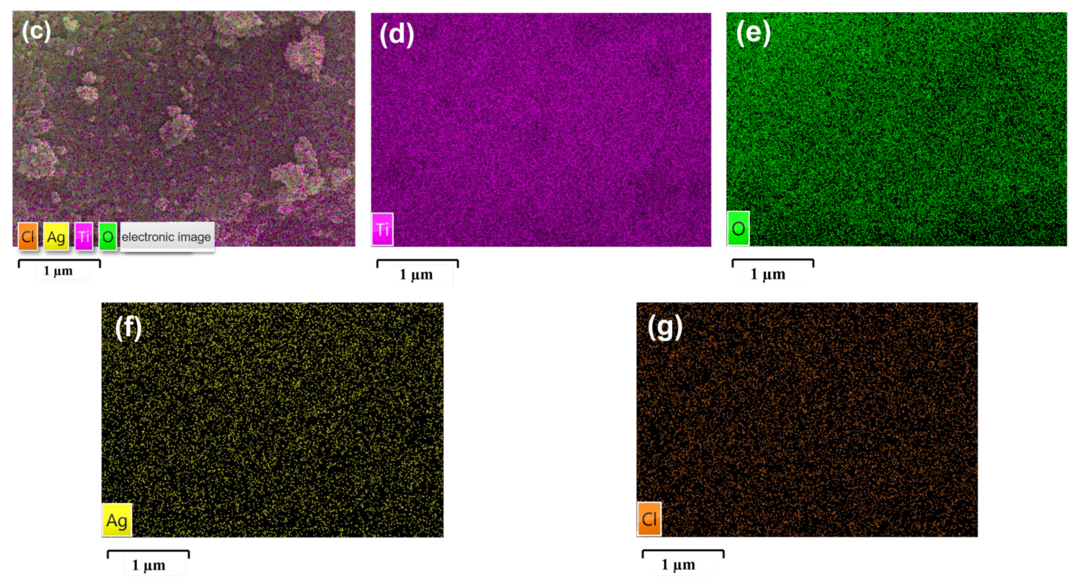 Nanomaterials 12 01599 g002b 550
