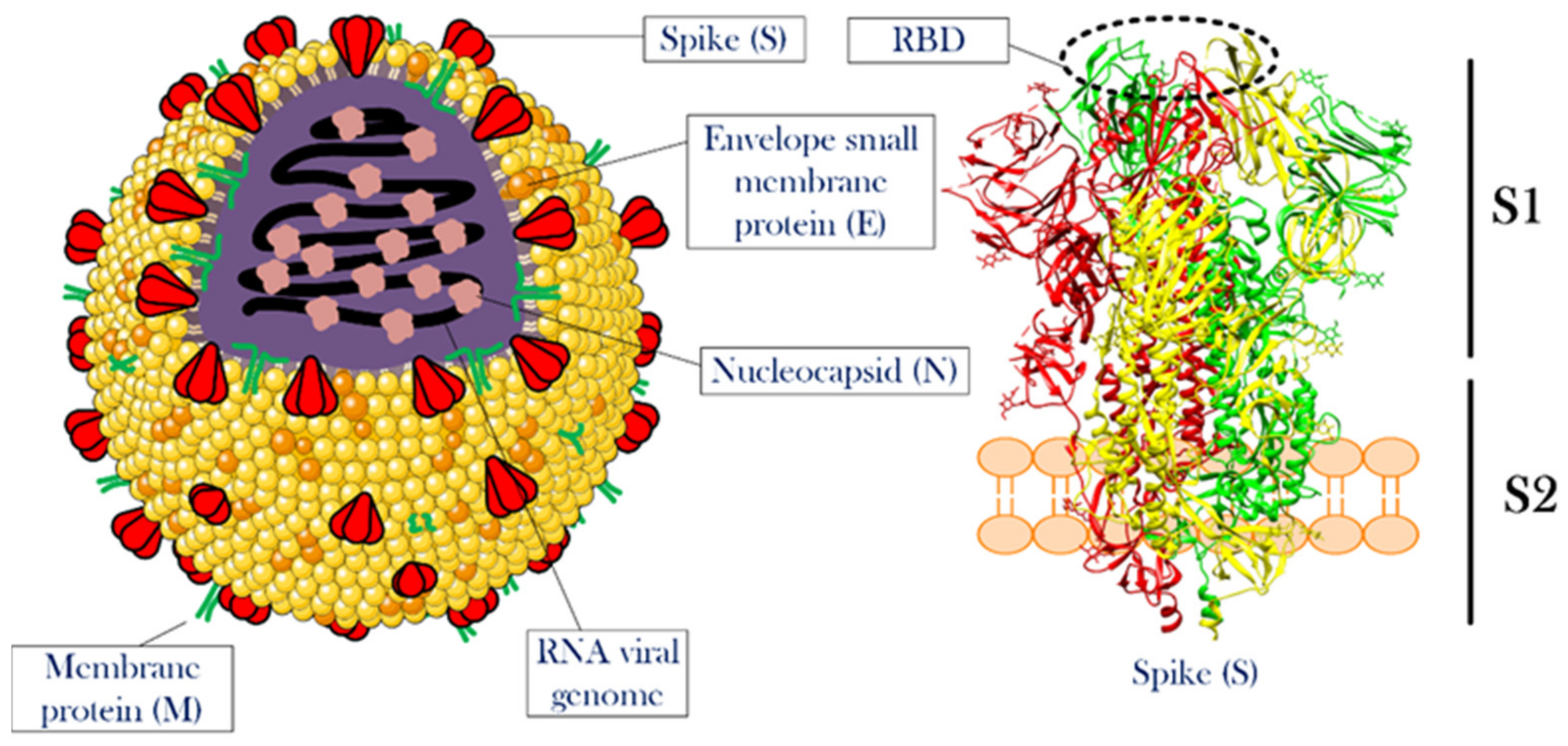 Nanomaterials 12 01602 g001 550