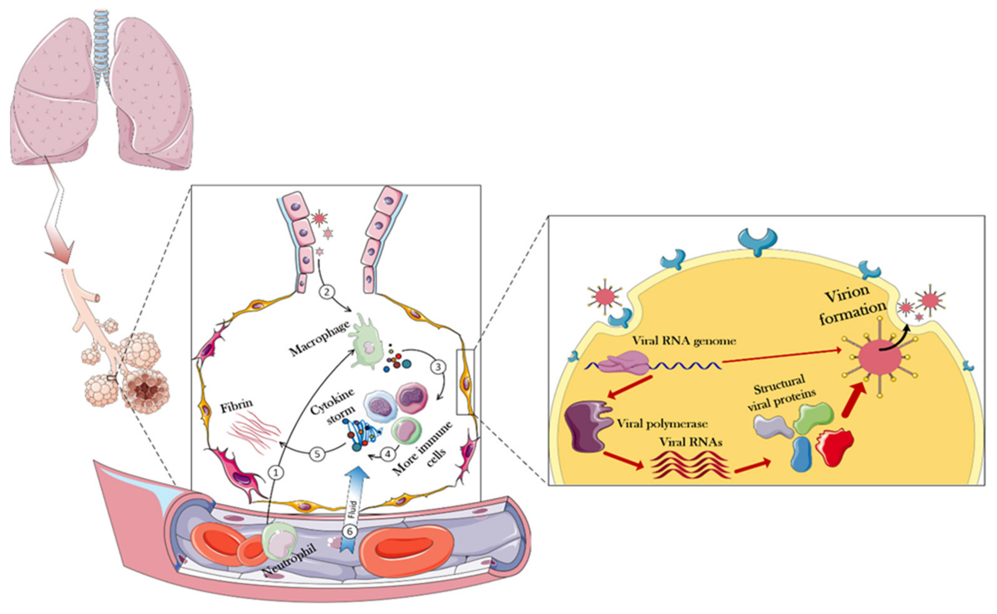 Nanomaterials 12 01602 g002 550