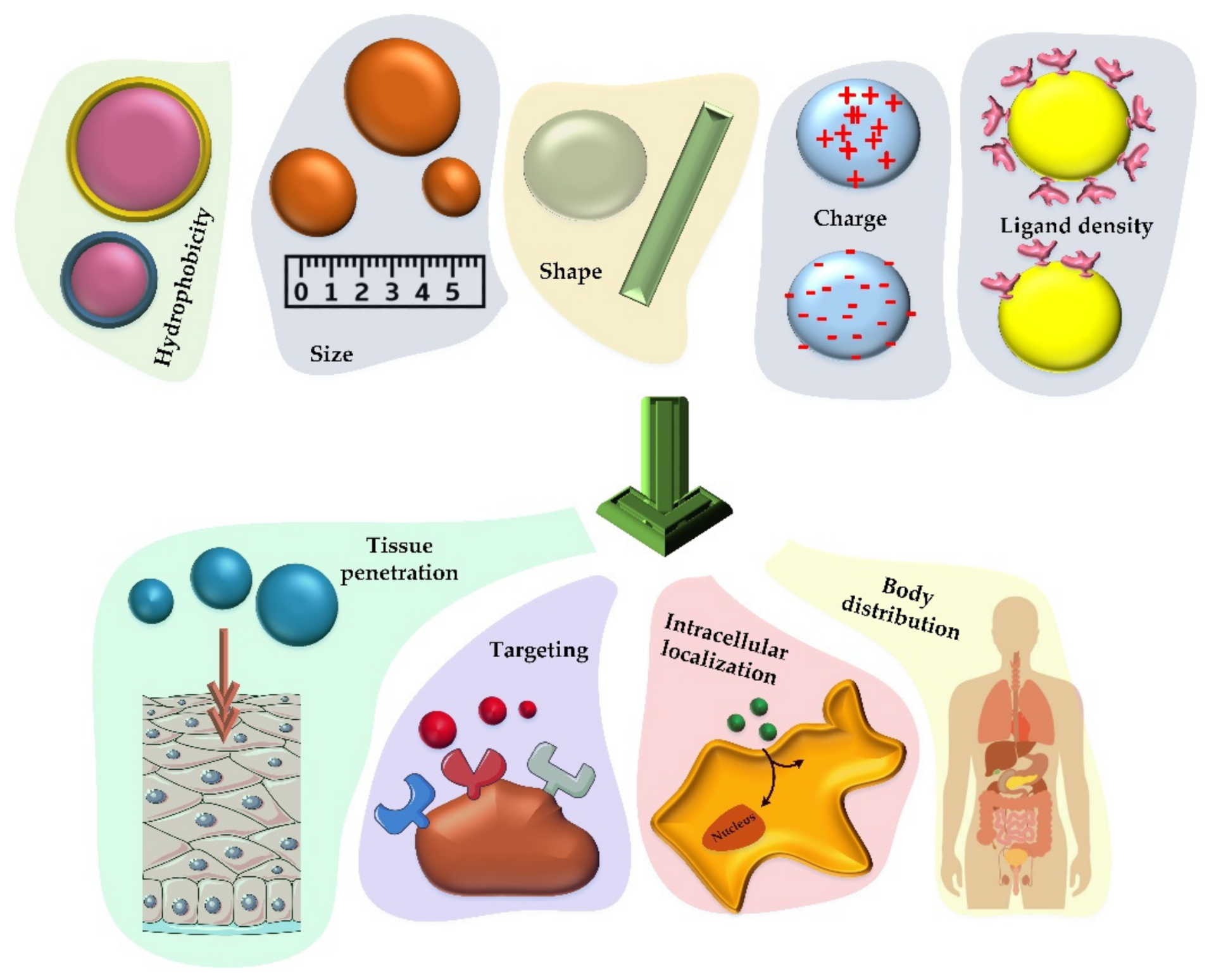 Nanomaterials 12 01602 g003 550