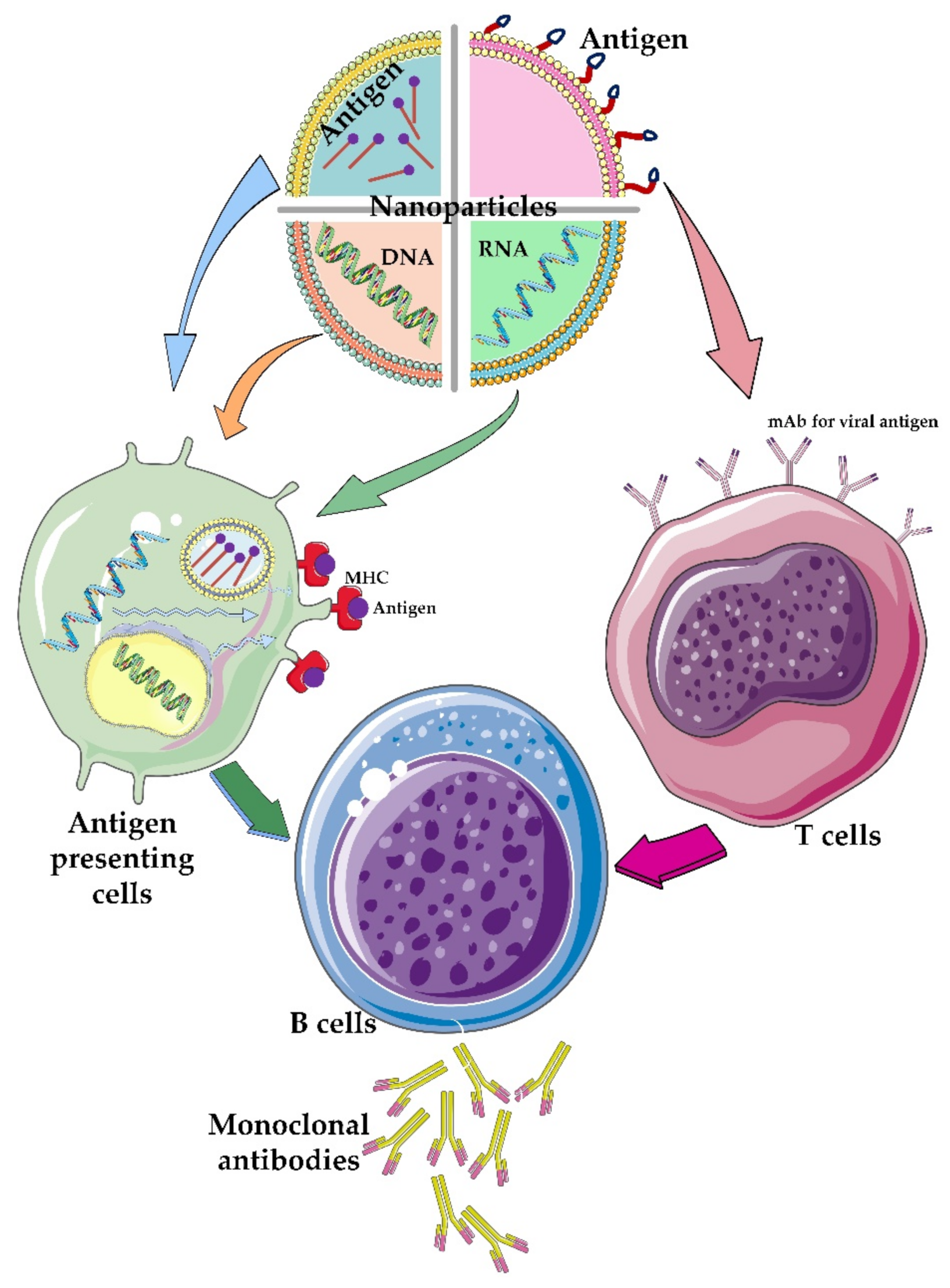 Nanomaterials 12 01602 g005 550