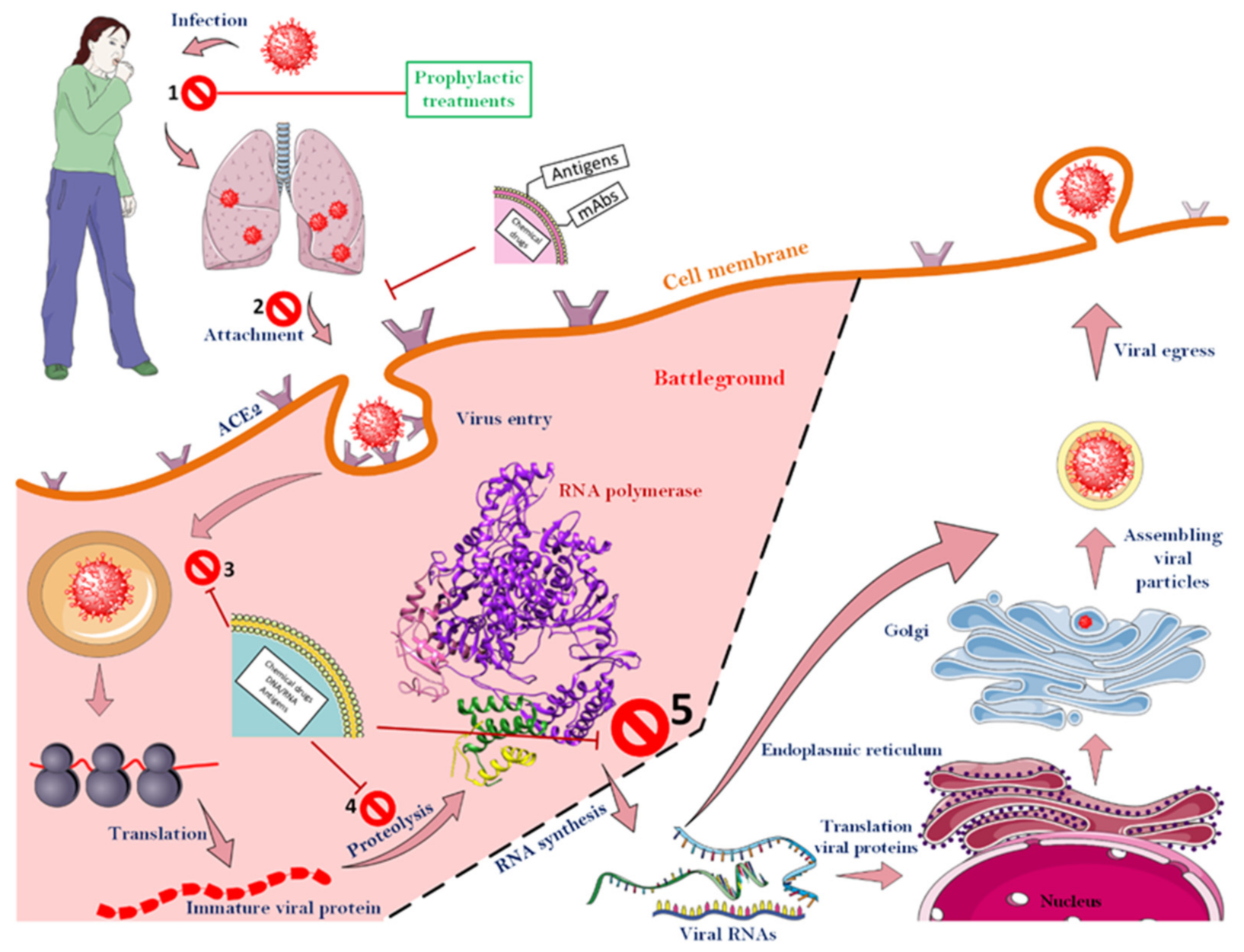 Nanomaterials 12 01602 g006 550