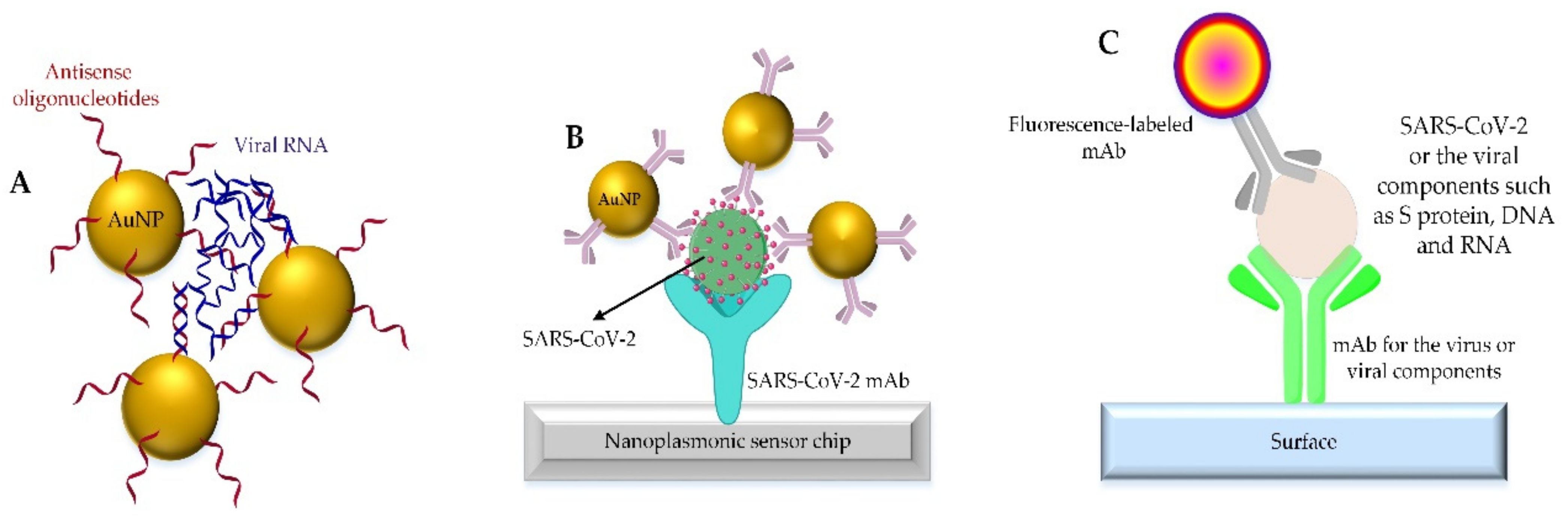 Nanomaterials 12 01602 g007 550