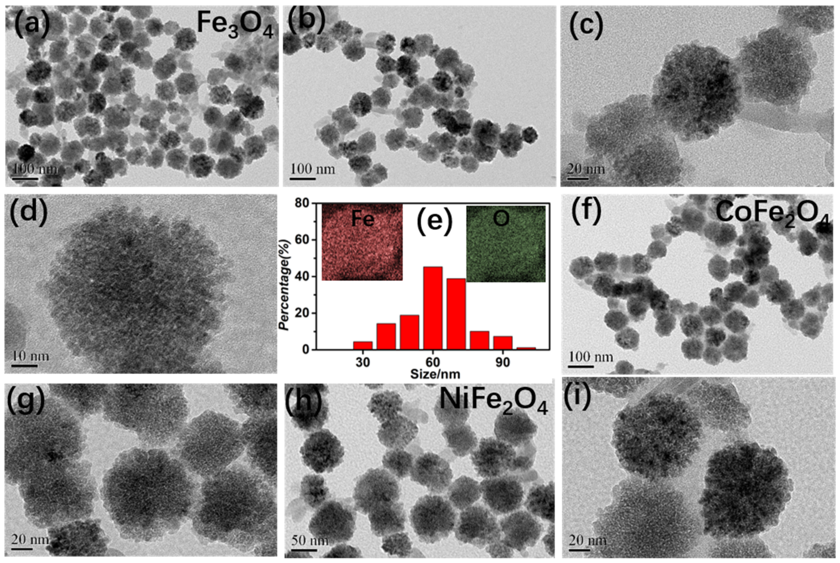Nanomaterials 12 01603 g003 550