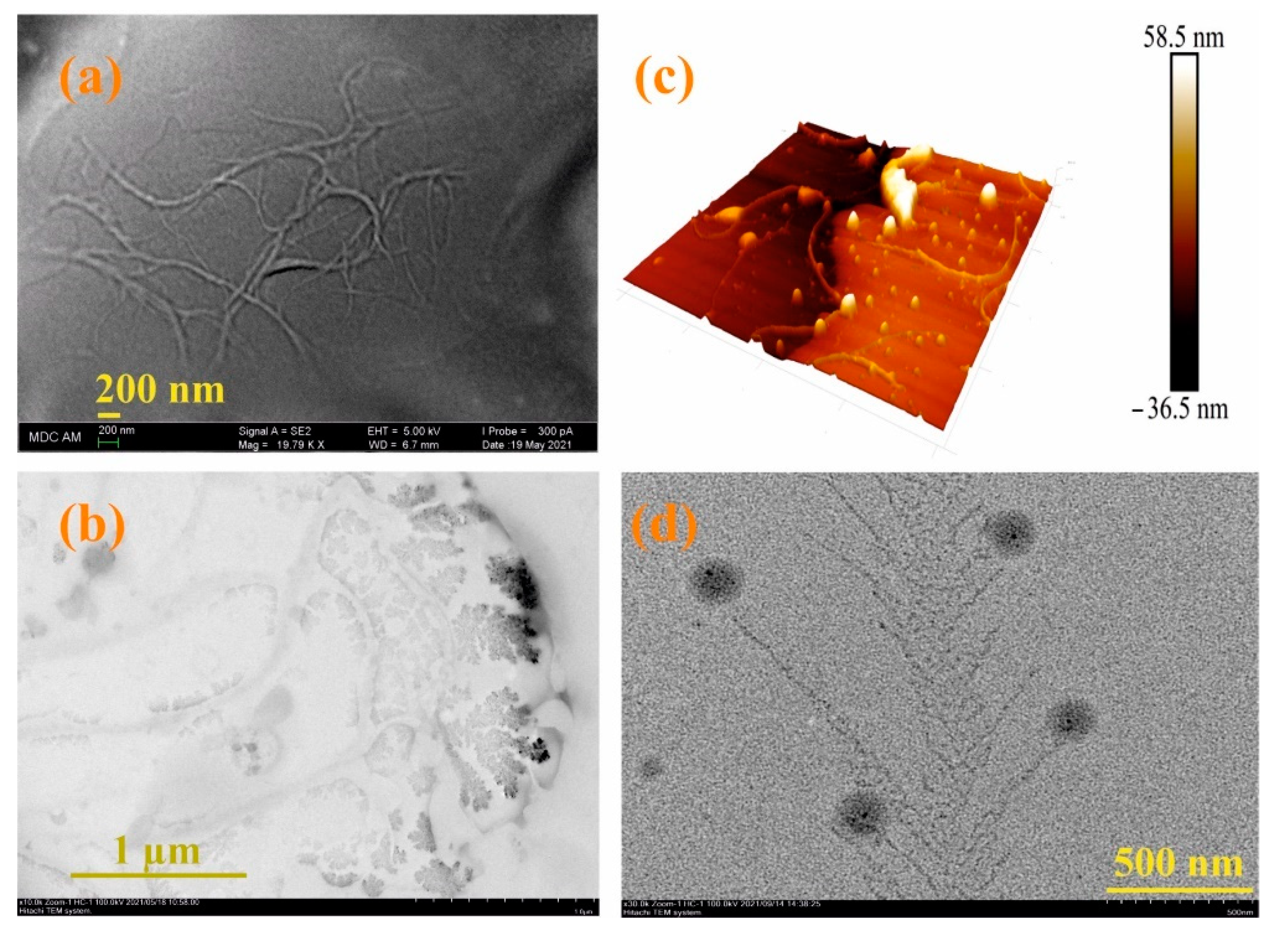 Nanomaterials 12 01604 g005