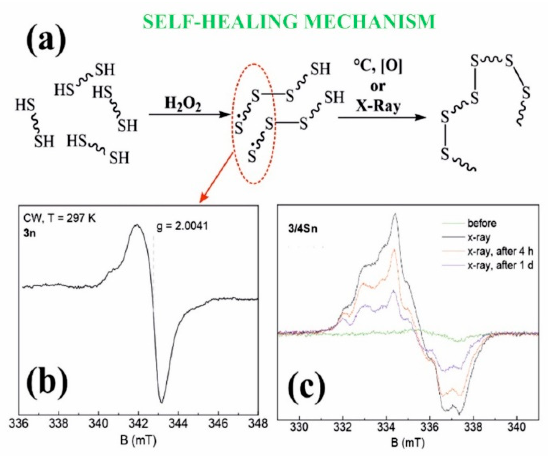 Nanomaterials 12 01604 g006