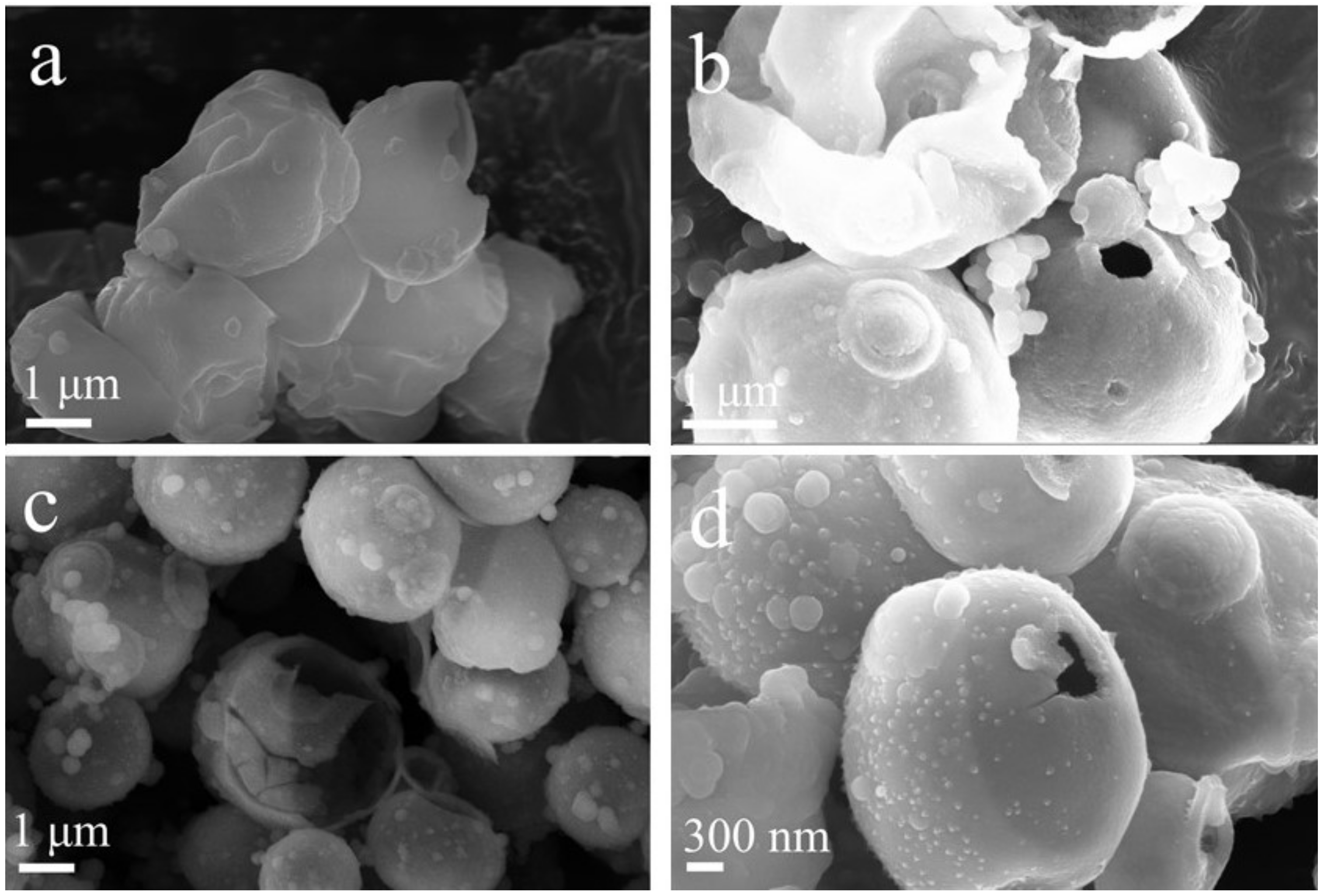 Nanomaterials 12 01606 g004a 550