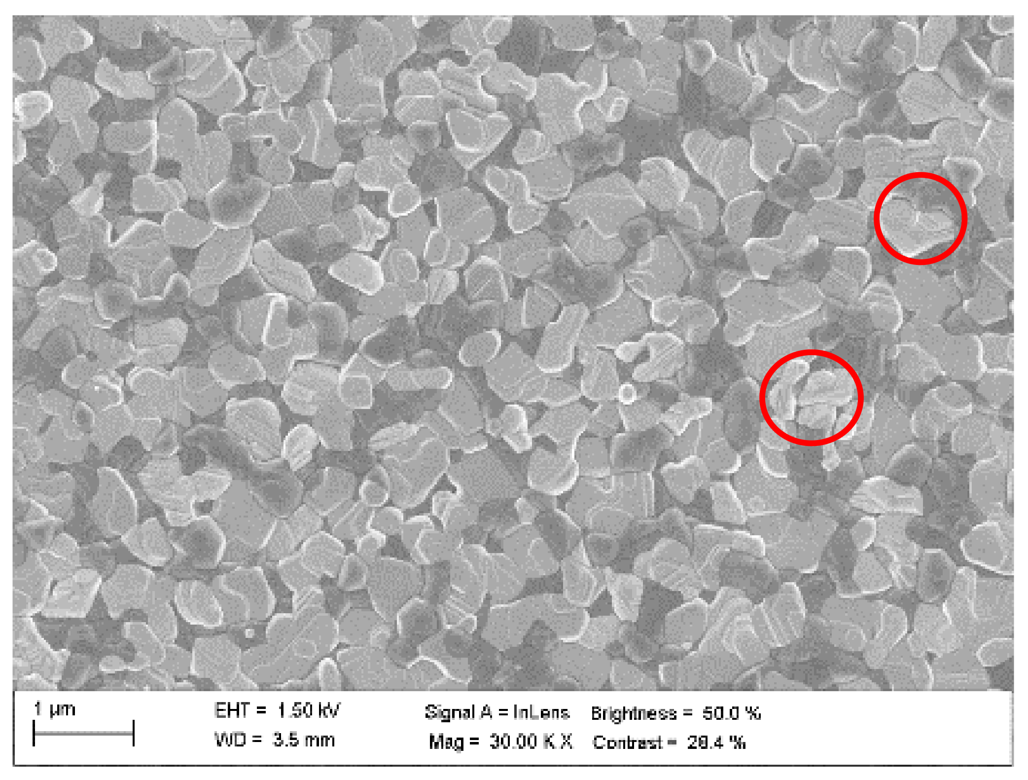 Nanomaterials 12 01616 g006 550