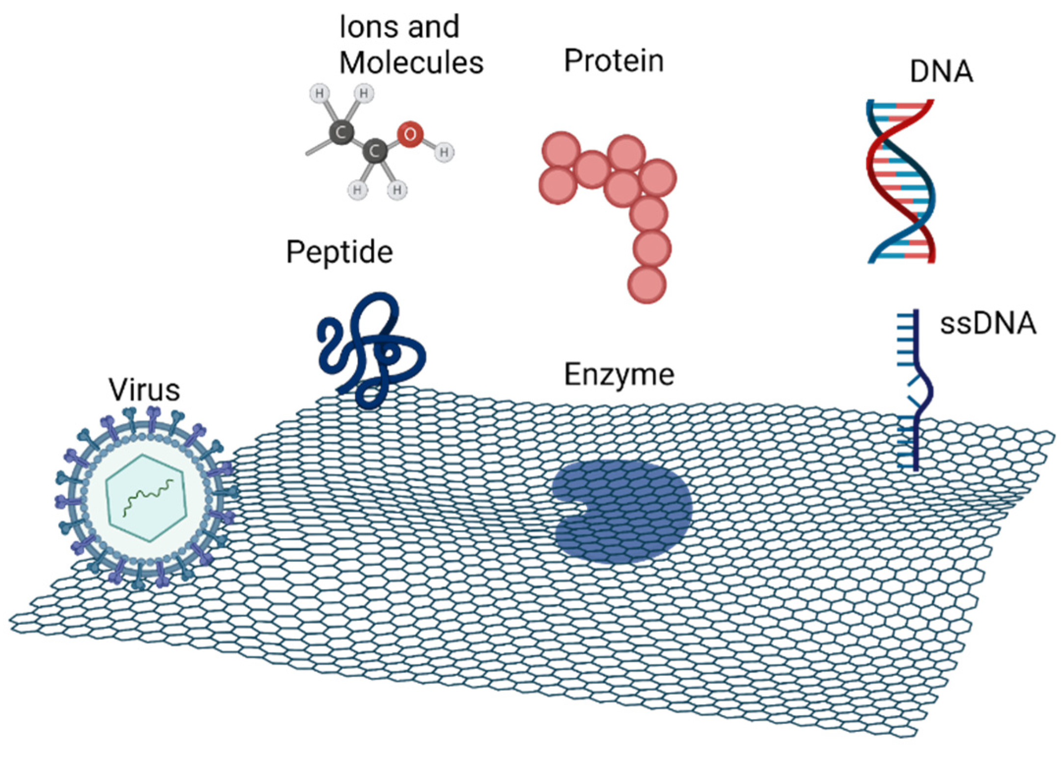 Nanomaterials 12 01624 g001 550
