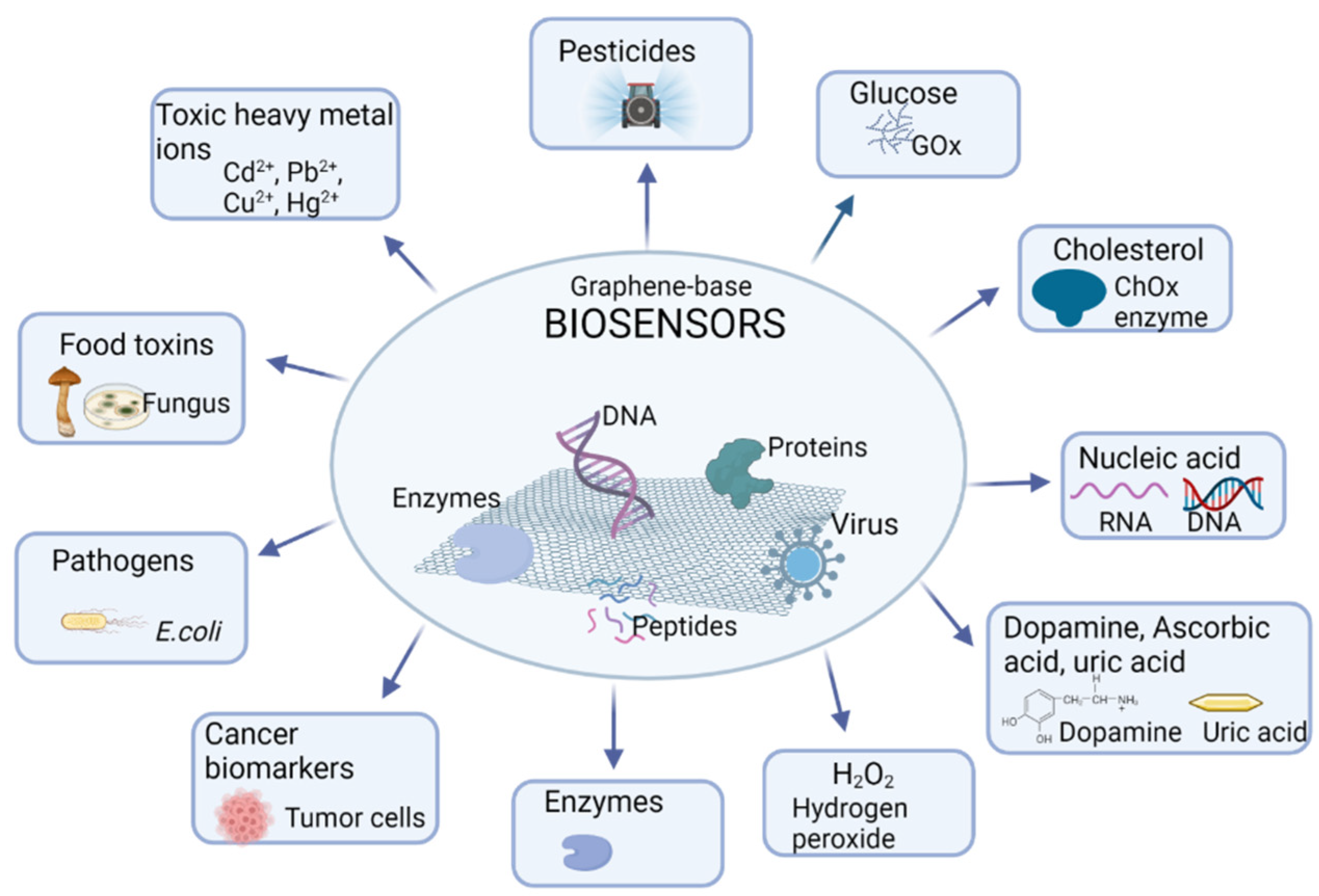 Nanomaterials 12 01624 g004 550