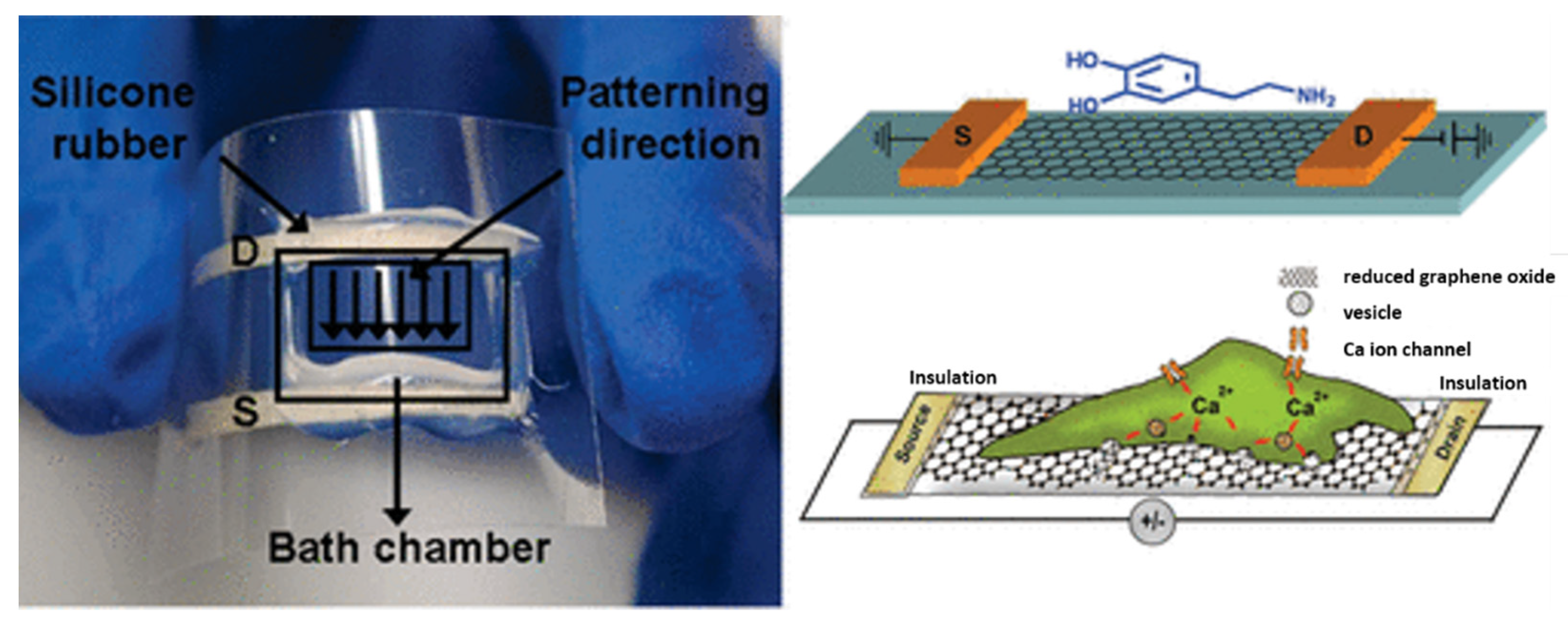Nanomaterials 12 01624 g006 550