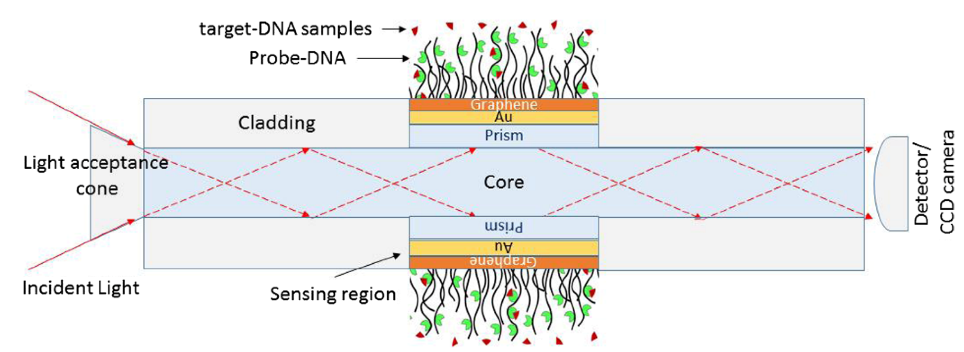 Nanomaterials 12 01624 g008 550