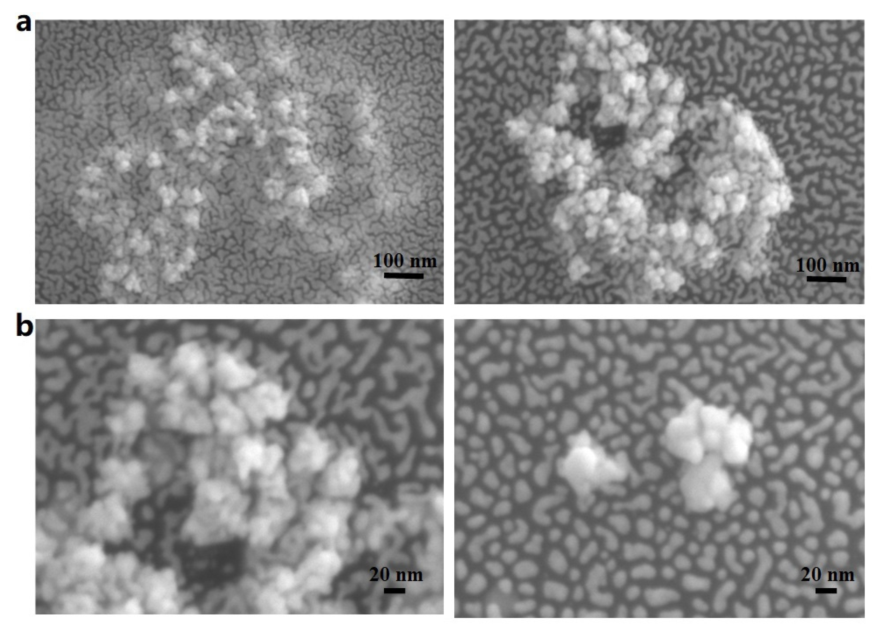 Nanomaterials 12 01626 g004