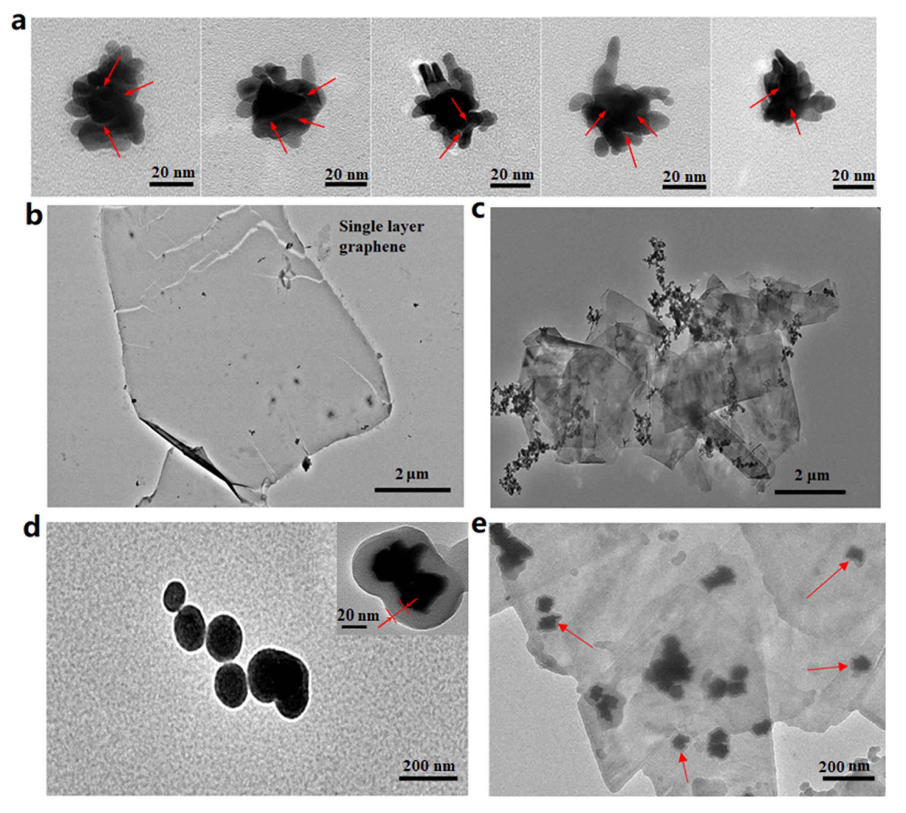 Nanomaterials 12 01626 g005