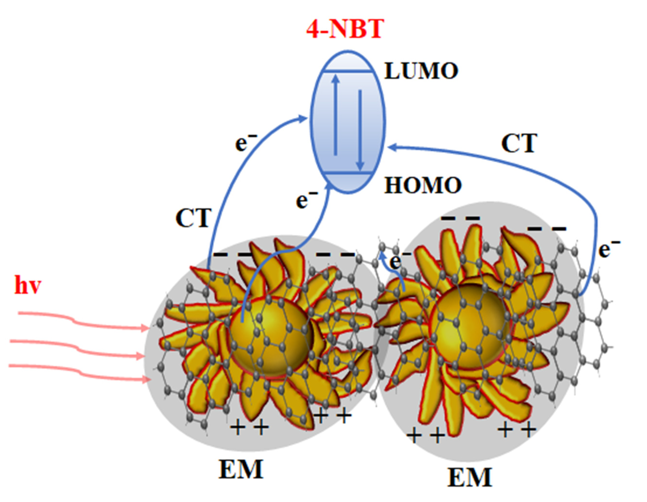 Nanomaterials 12 01626 g009