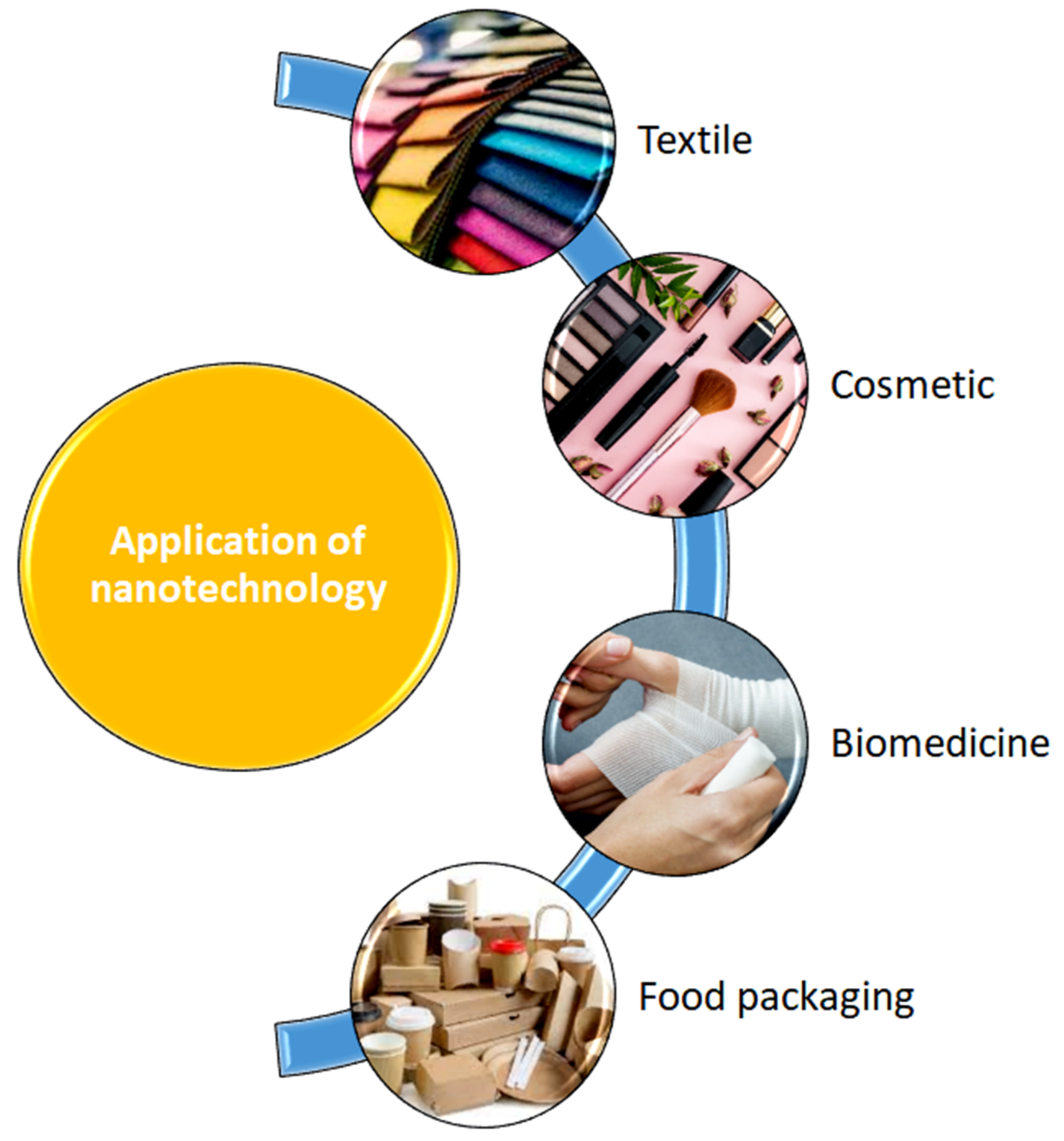Nanomaterials 12 01629 g001 550