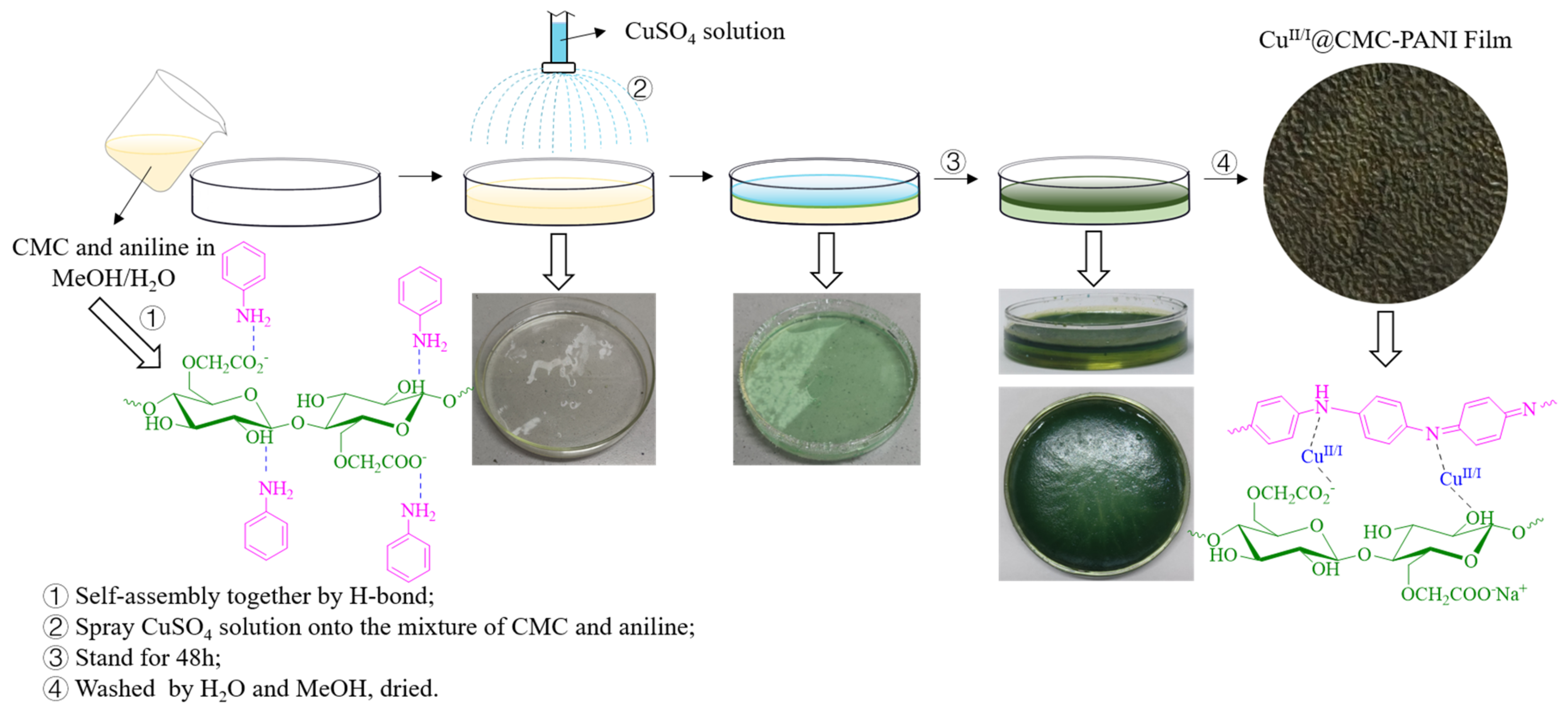 Nanomaterials 12 01641 sch001 550