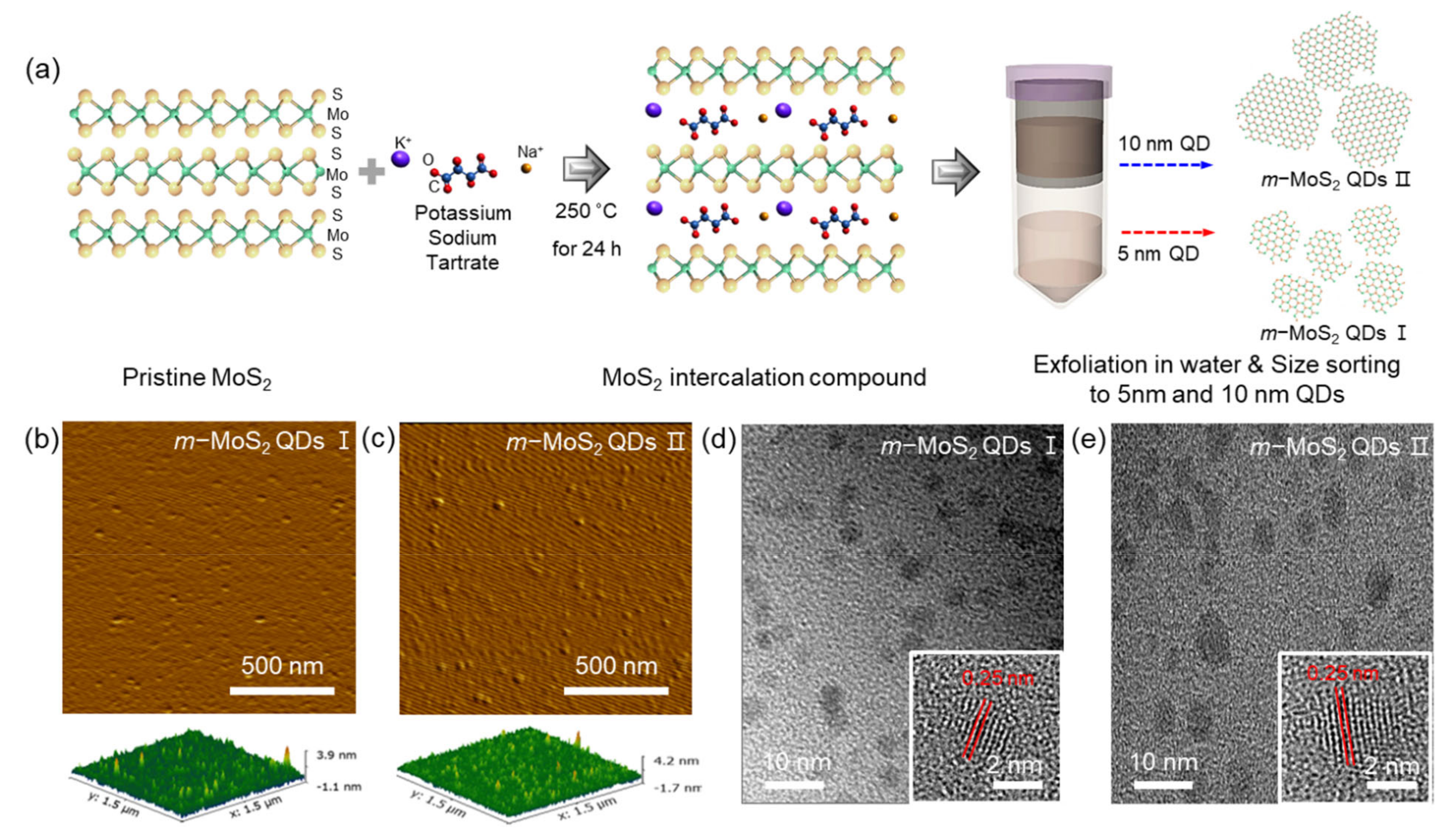 Nanomaterials 12 01645 g001
