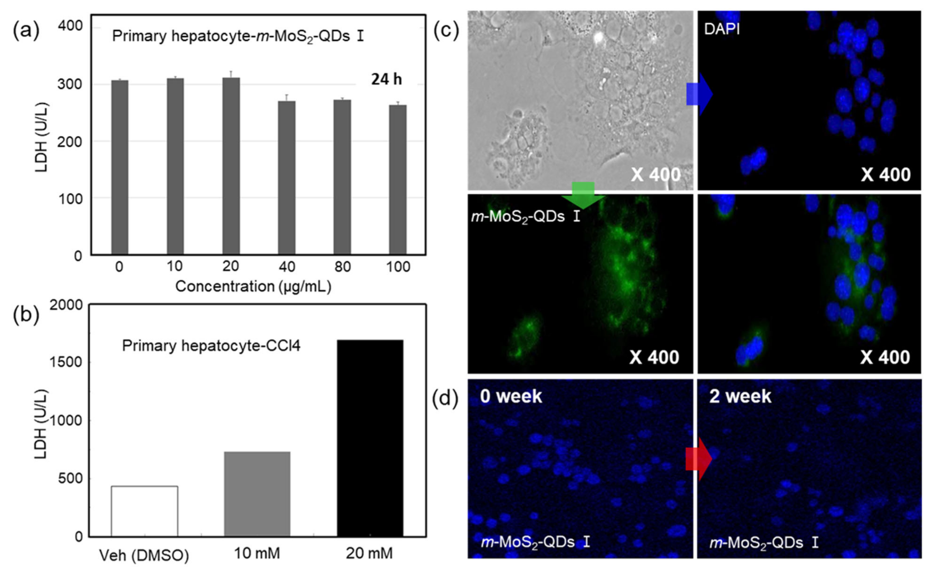 Nanomaterials 12 01645 g004